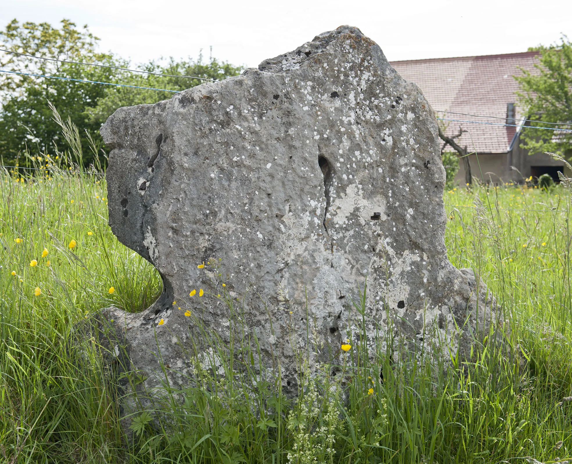 Photo showing: The Trou des Âmes of ("Hole of Souls") in Fresens NE, Switzerland, is a stone slab from a dismanteled dolmen. It's oval gash proves its origin as a frontal slab of a type Schwörstadt dolmen (end of 4th to early 3rd millenium BC). The other slabs of the dolmen are nearby.