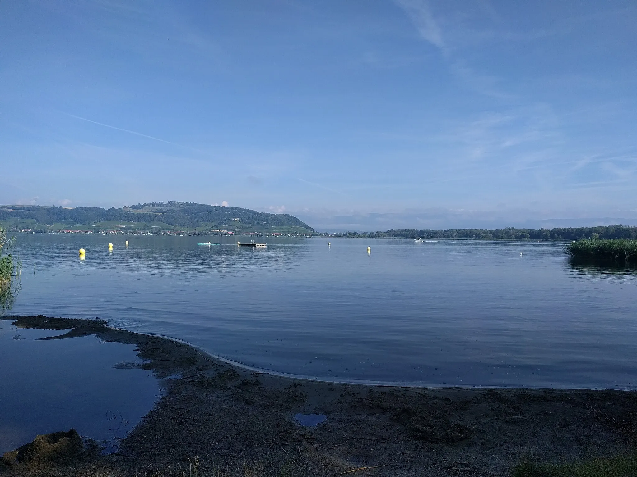 Photo showing: Murtensee