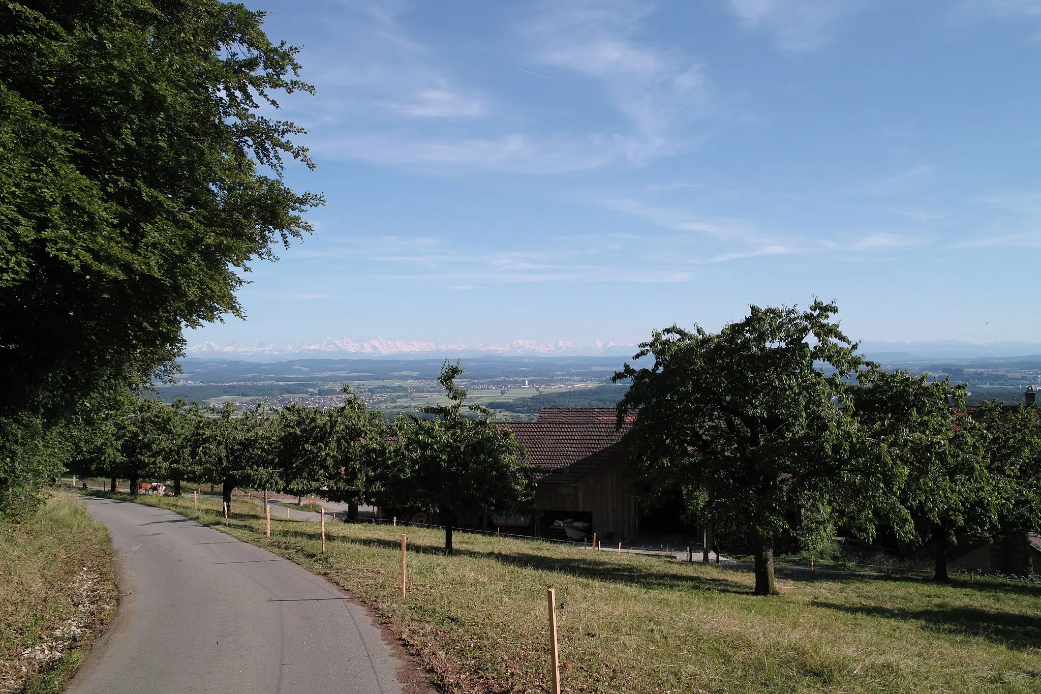 Photo showing: View from a farm (Vorderer Mattenhof) in Kammersrohr (canton of Solothurn, Switzerland) at the southern foot of the Swiss Jura across the Swiss plateau and towards the Bernese Alps.