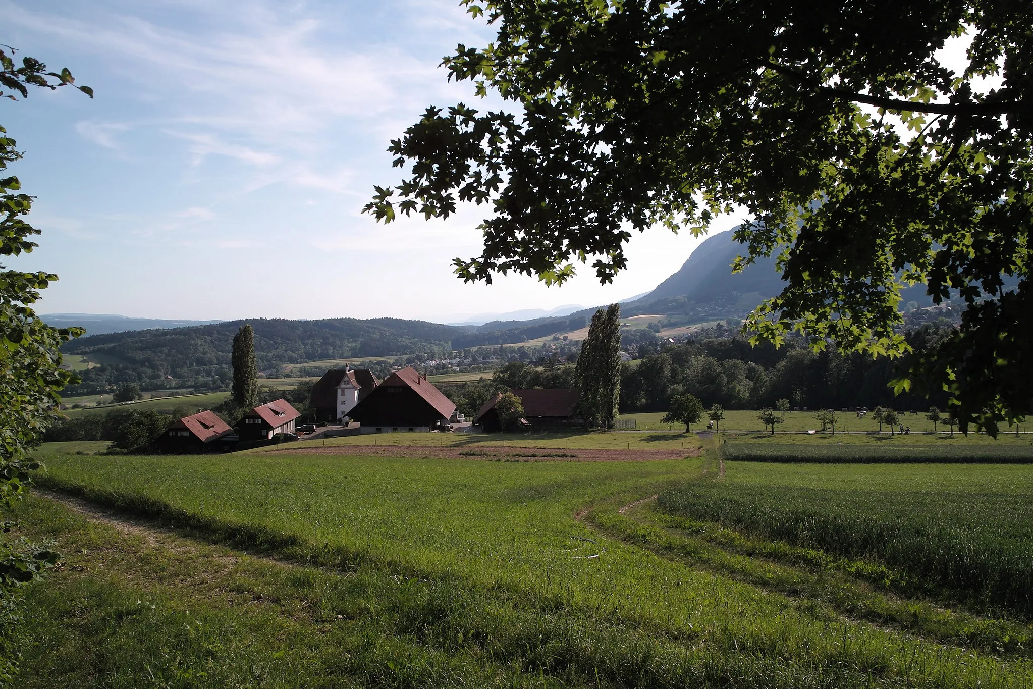 Photo showing: View from Kammersrohr (Mittlerer Mattenhof) towards Niederwil and Günsberg, canton of Solothurn, Switzerland.