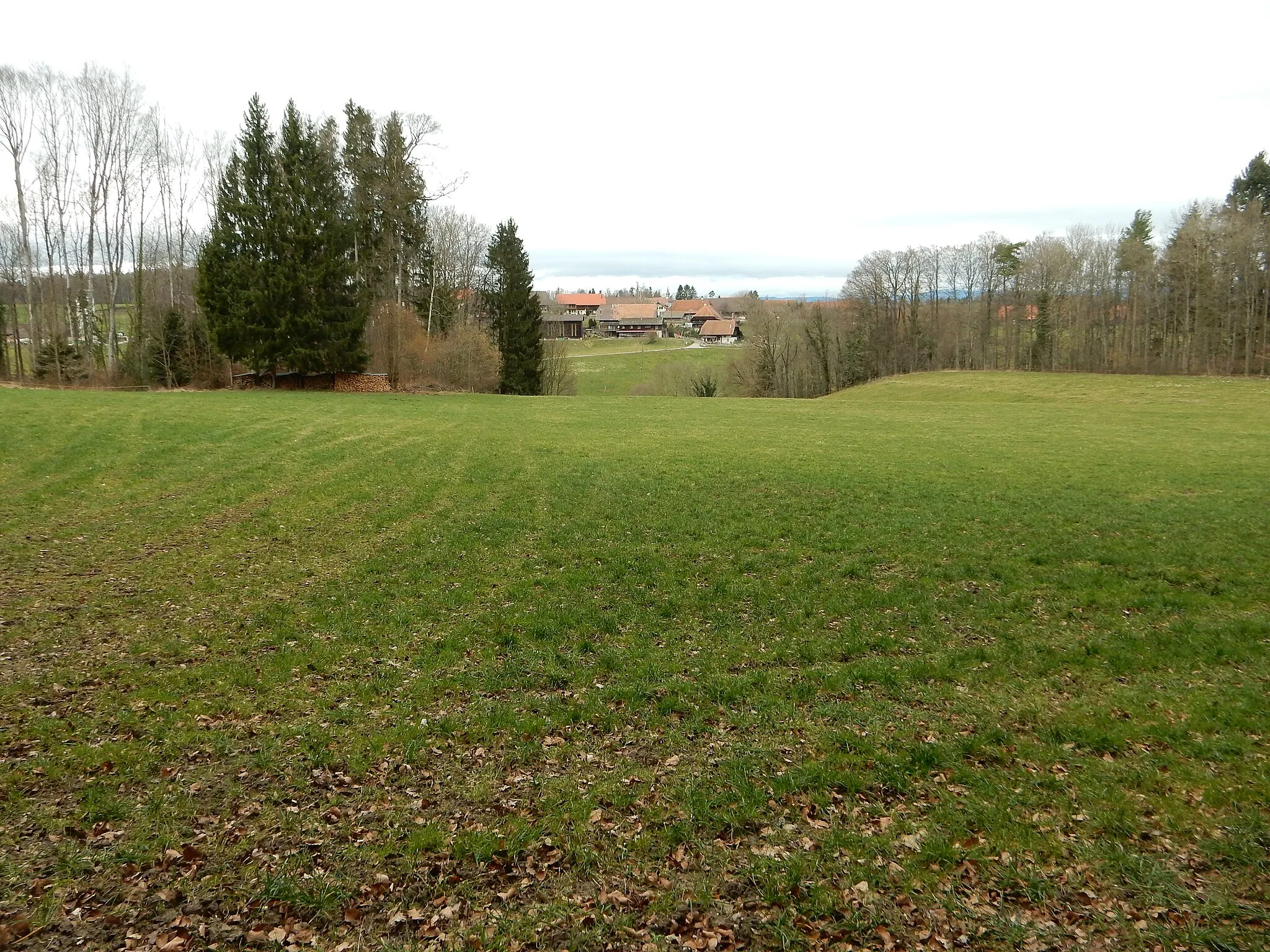 Photo showing: Das Dorf Lurtigen vom Staatswald Galm aus gesehen, Kanton Freiburg, Schweiz