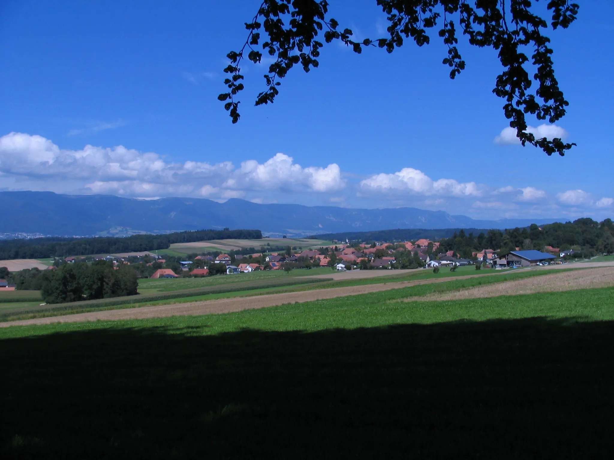 Photo showing: The village Schnottwil (Canton of Solothurn)