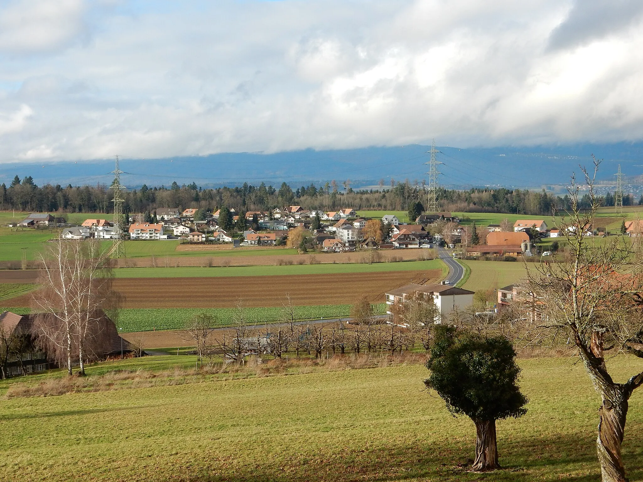 Photo showing: Aspi, Gemeinde Seedorf BE (Schweiz)