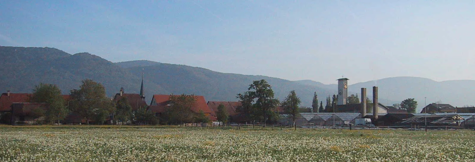 Photo showing: Härkingen von Süden