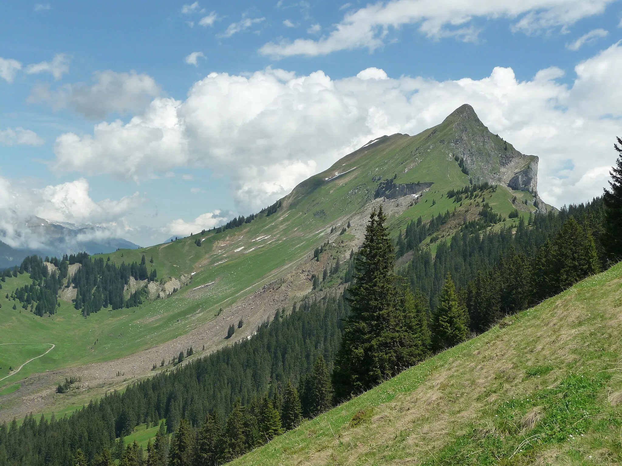 Photo showing: Augstmatthorn with Suggiture (right) in the Emmental Alps seen from the Brienzergrat from southwest; with rockslide from June 03, 2013