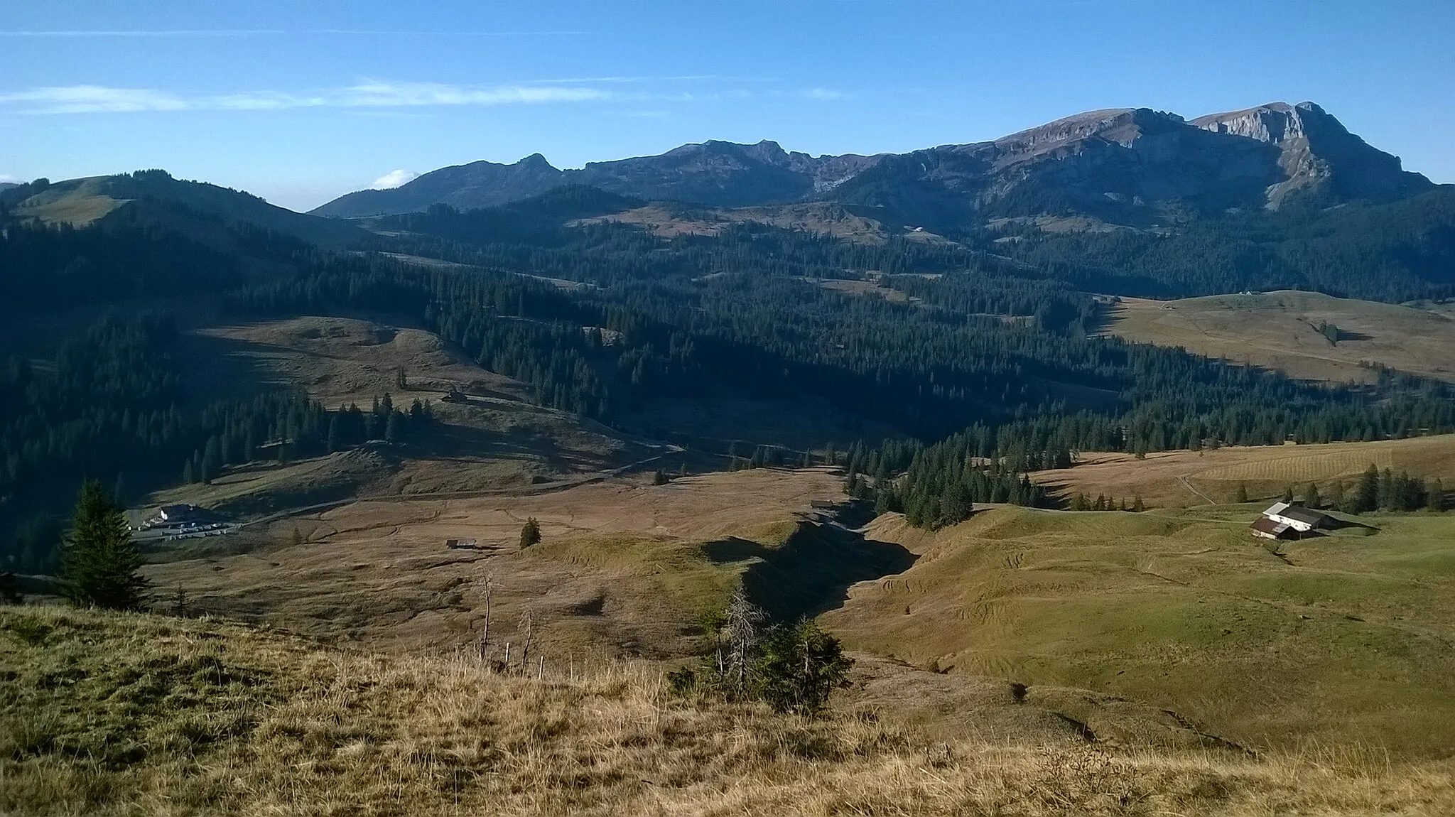 Photo showing: Abb. 1: Lombachalp, ein Mosaik von Wald und offenen Gebieten,                                                                  im Hintergrund der Hohgant.