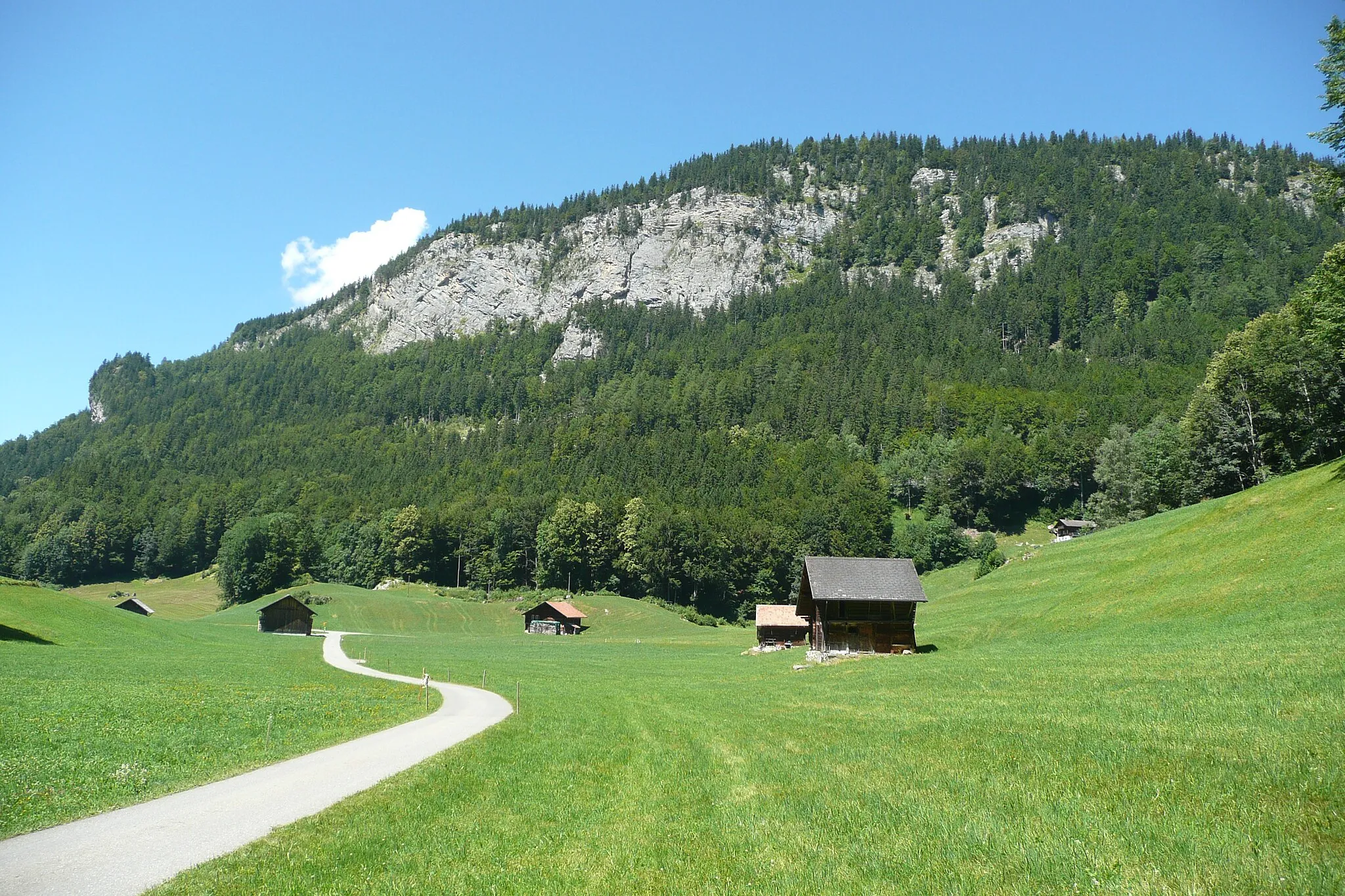 Photo showing: A wonderful 5 mile (8km) walk between Brunig and Hasliberg-Reuti, talking you through forest and open alpine meadows.