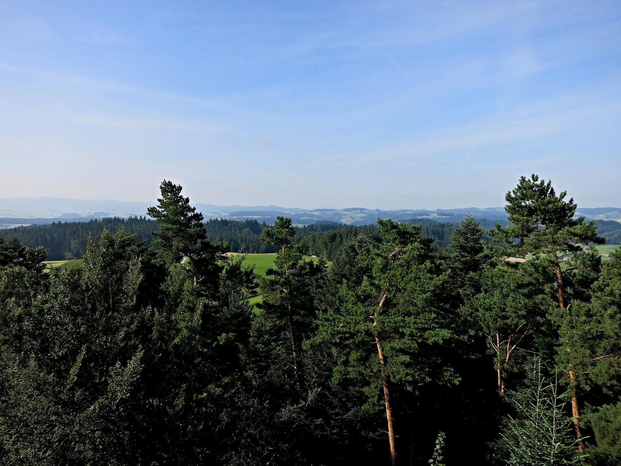 Photo showing: Aussicht von der Hochwacht Reisiswil Richtung Süden