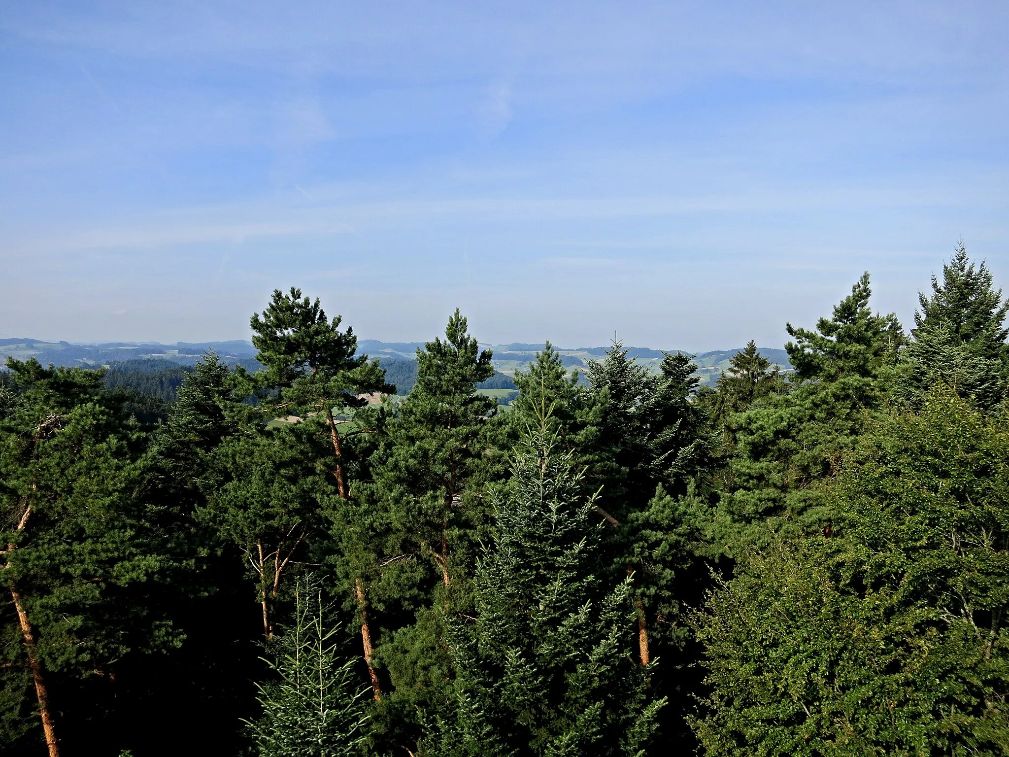 Photo showing: Aussicht von der Hochwacht Reisiswil Richtung Süd Westen