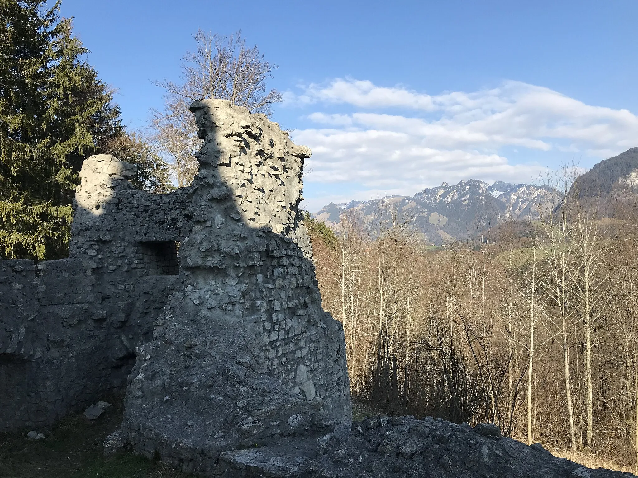 Photo showing: Ruines du château de Montsalvens