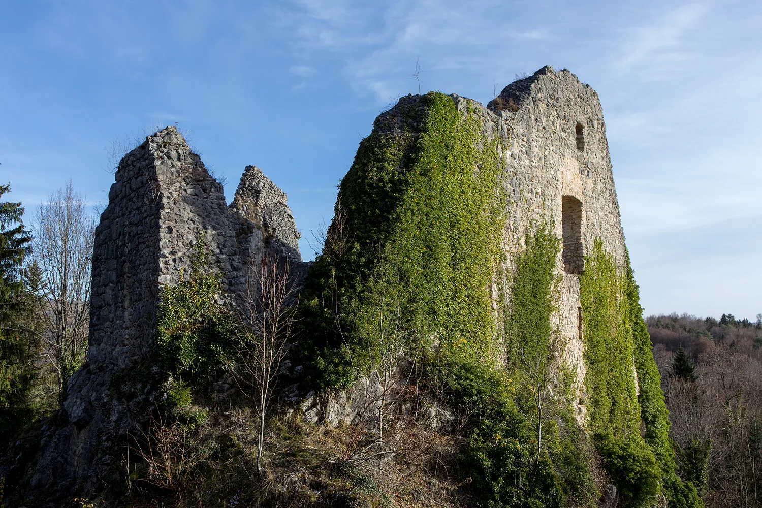 Photo showing: Burgruine Löwenburg bei Ederswiler, aber der Gemeinde Pleigne zugehörig