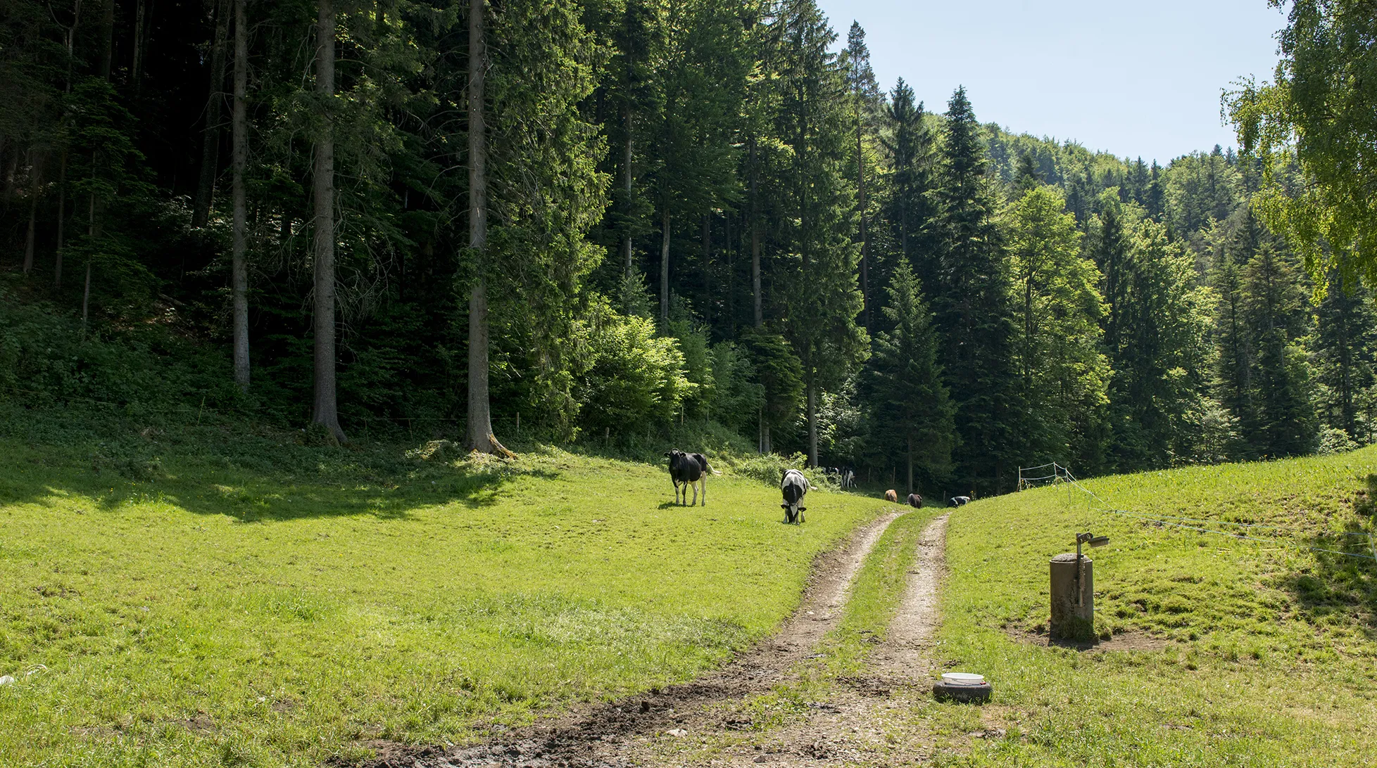 Photo showing: Naturpark Thal near Welschenrohr