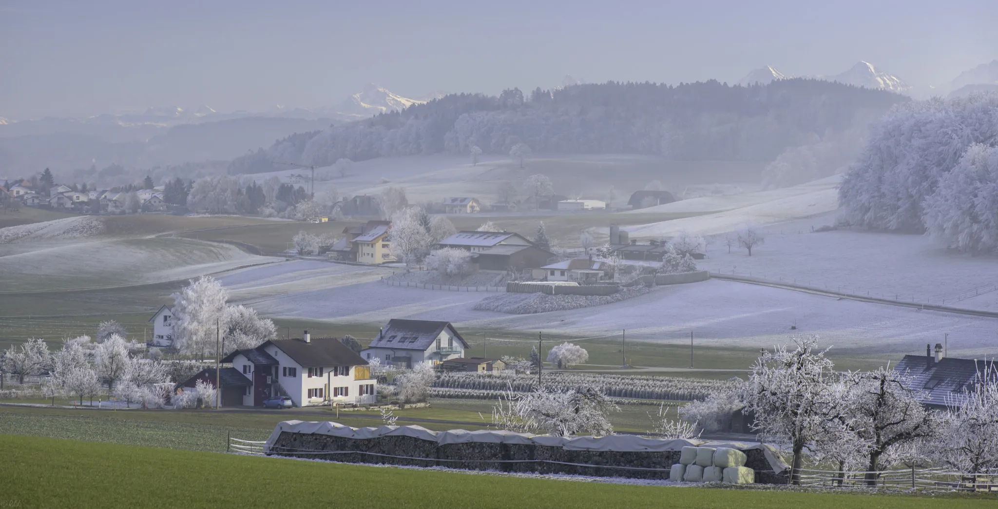 Photo showing: 500px provided description: View from Heitiwil towards the Bernese Alps, best viewed against a black background.

Should you like to see a larger version of the photograph: www.flickr.com/photos/144355724@N03/30995634103/in/datetaken/ [#trees ,#landscape ,#winter ,#mountain ,#frost]