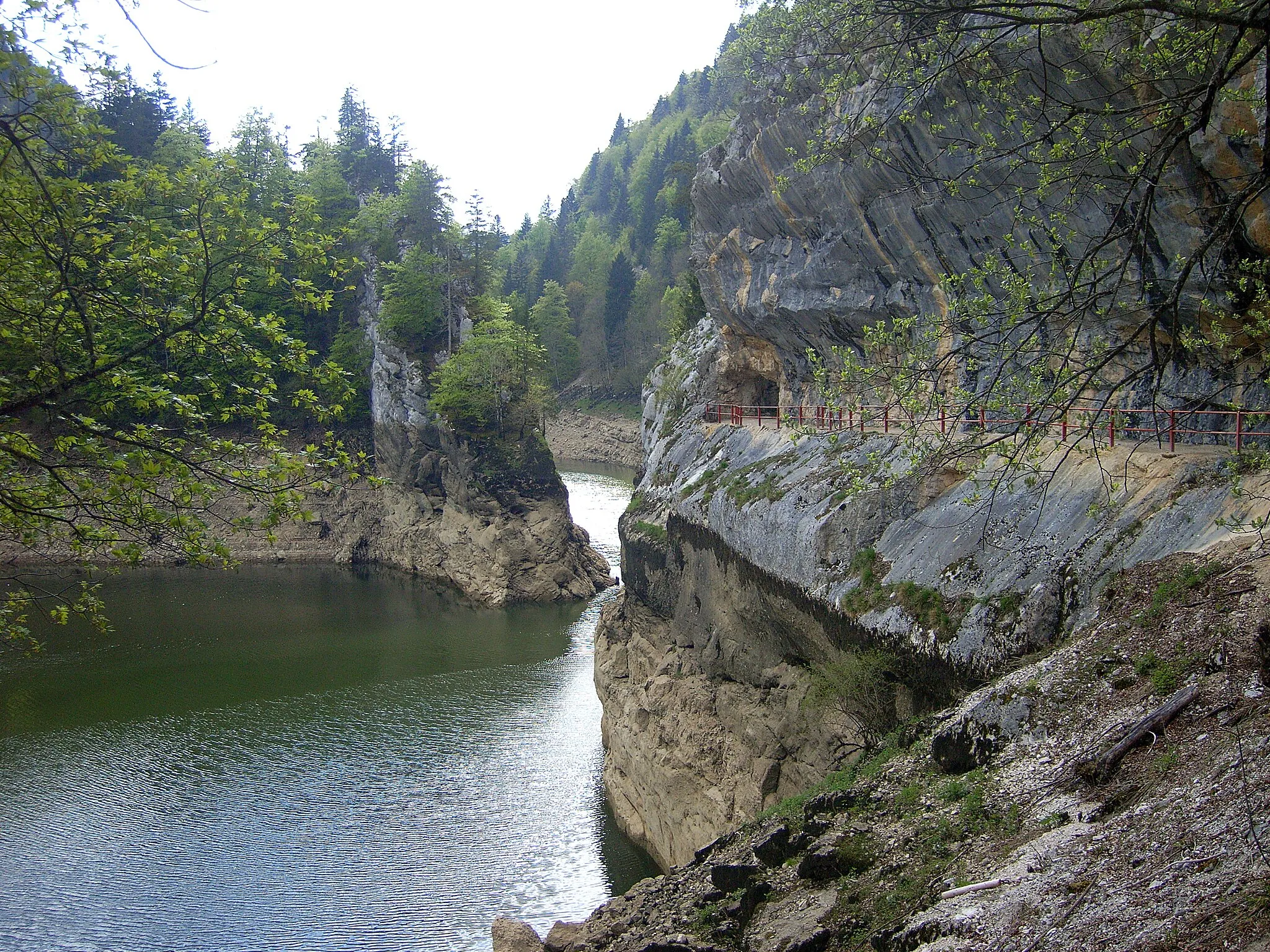 Photo showing: Parc du Doubs zwischen Lac des Brenets und Lac de Moron
