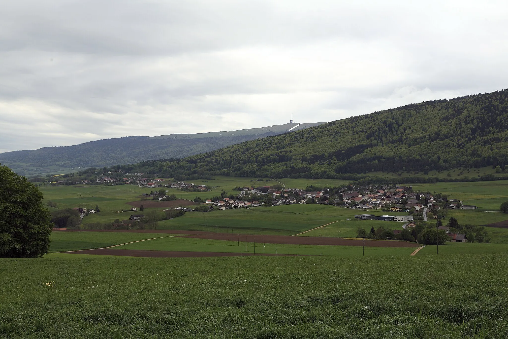 Photo showing: Links Diesse, rechts Lamboing. Beide Gemeinden wurden zusammen mit Prêles am 1. Januar 2014 zur Fusionsgemeinde Plateau de Diesse vereinigt. Dahinter liegt der Bergrücken Chasseral mit Berghotel und Sendeanlage.