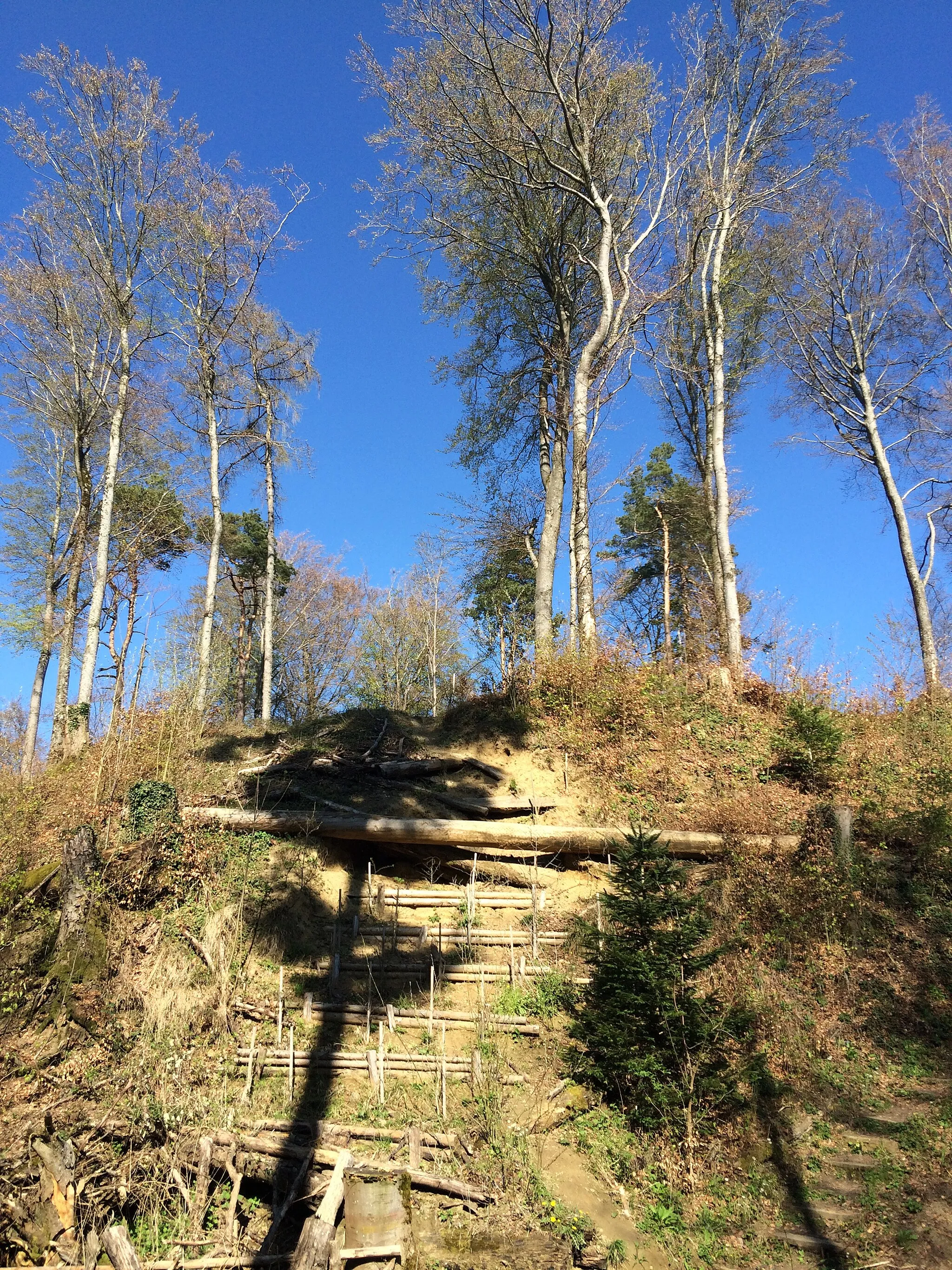 Photo showing: Ansicht der Erdburg von Seite Bellmund