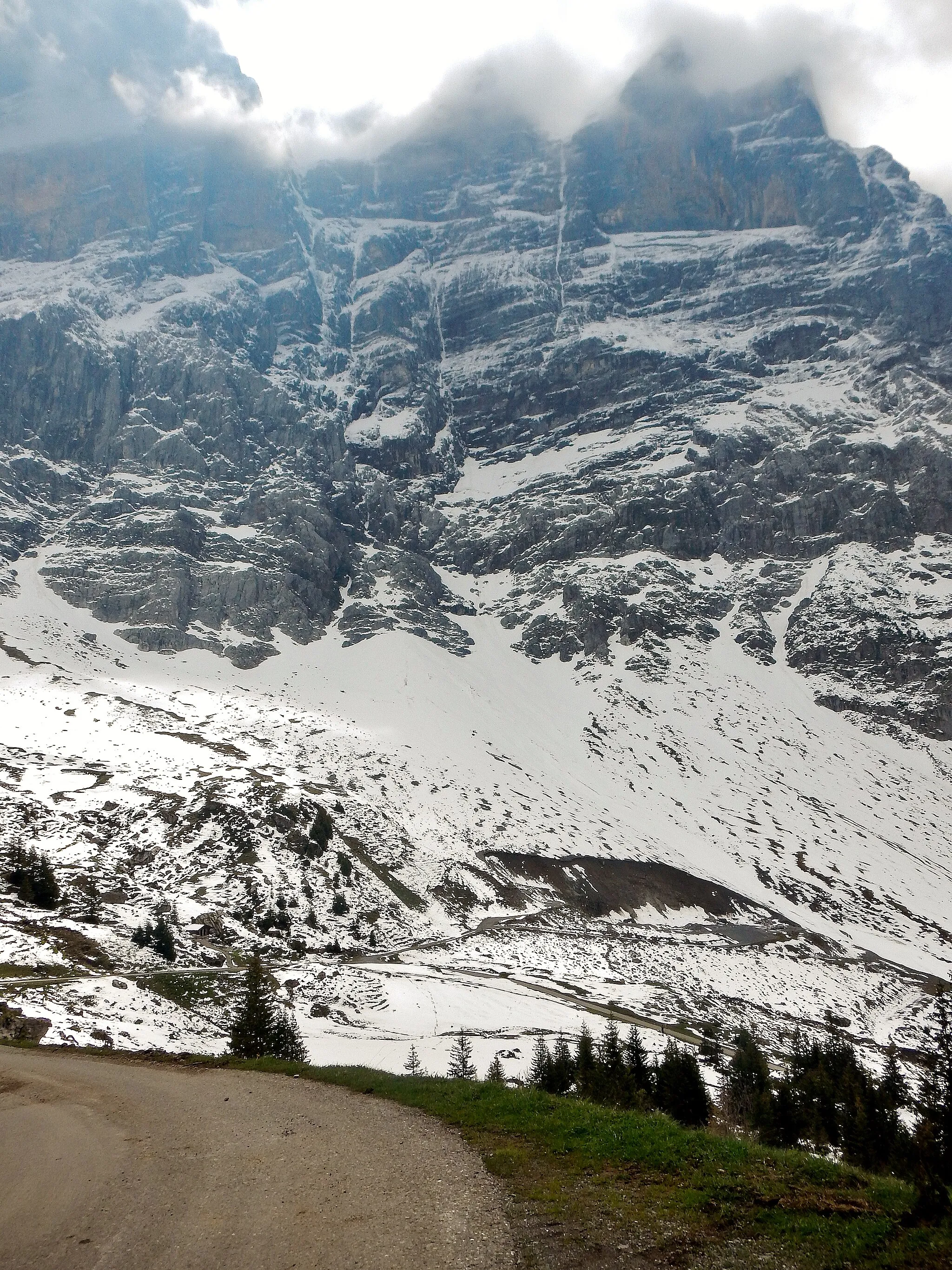 Photo showing: Weg von Grindelwald zur Grossen Scheidegg mit Blick zum Wetterhorn (?)