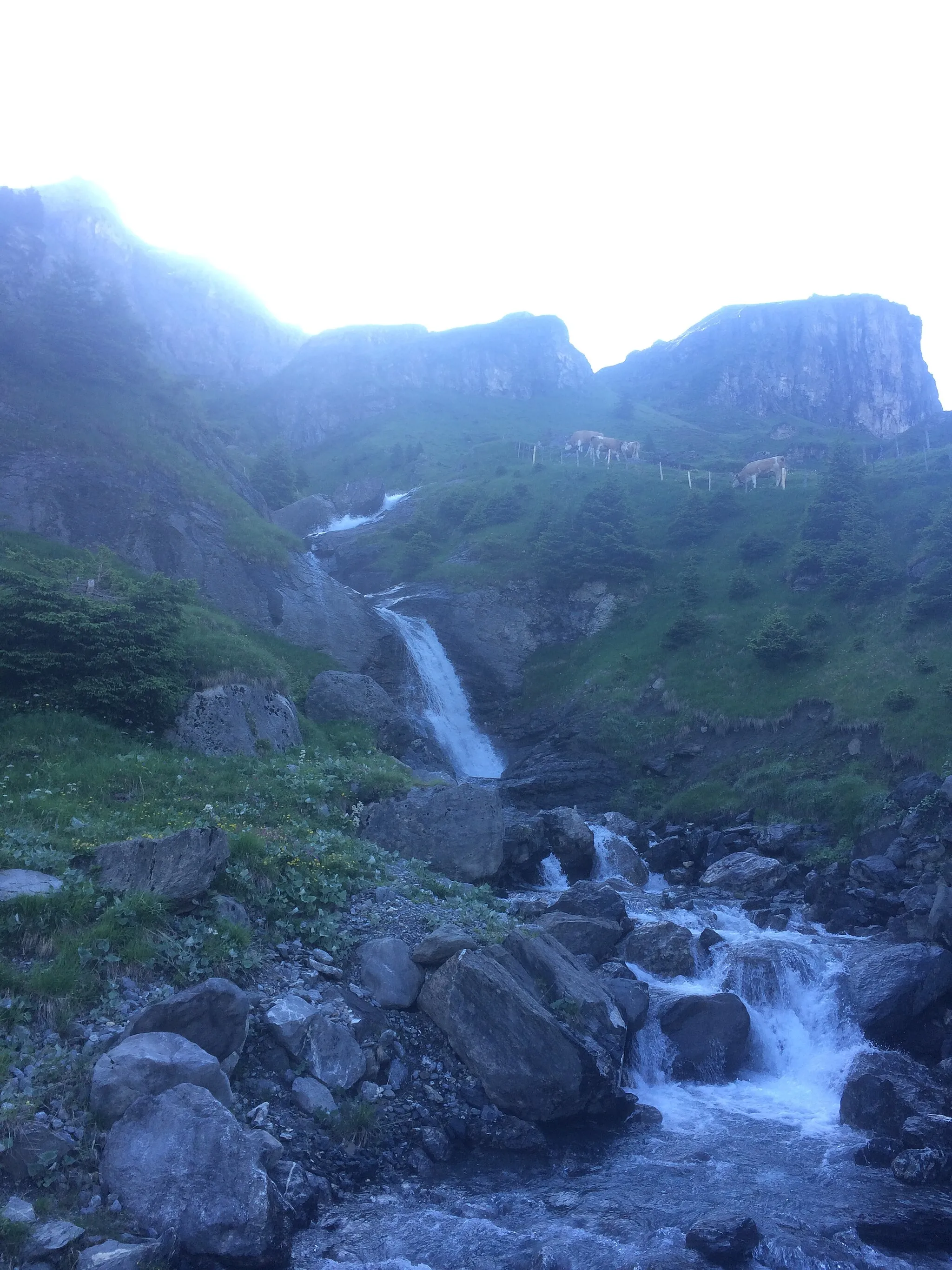 Photo showing: Falls near kiental on the morning in june.