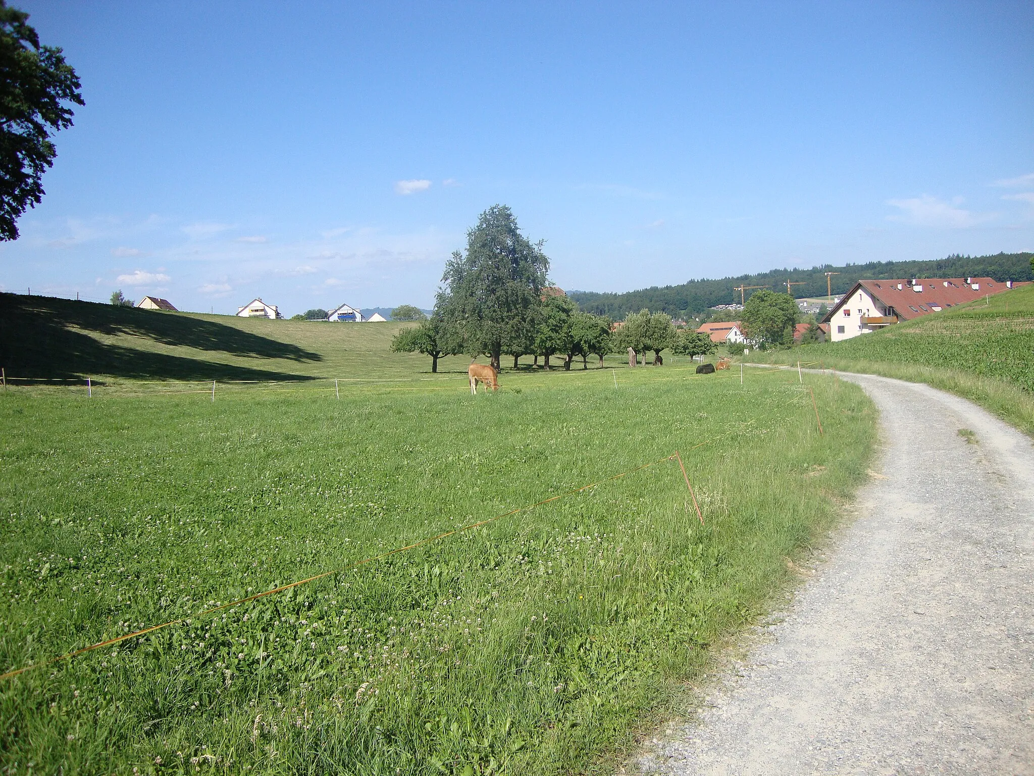 Photo showing: Eichelstrasse