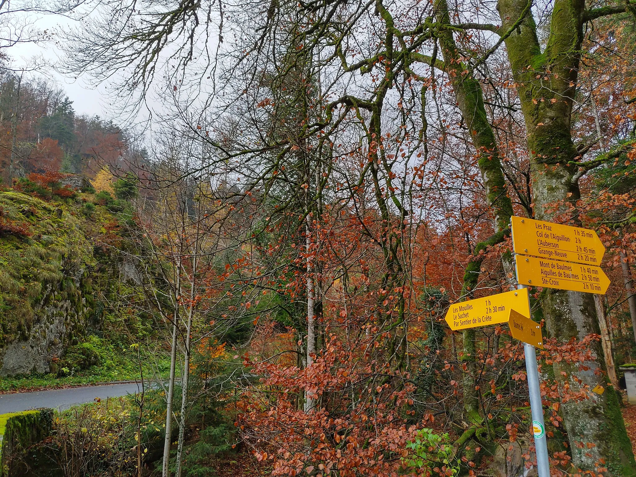Photo showing: Fingerpost north of Baulmes