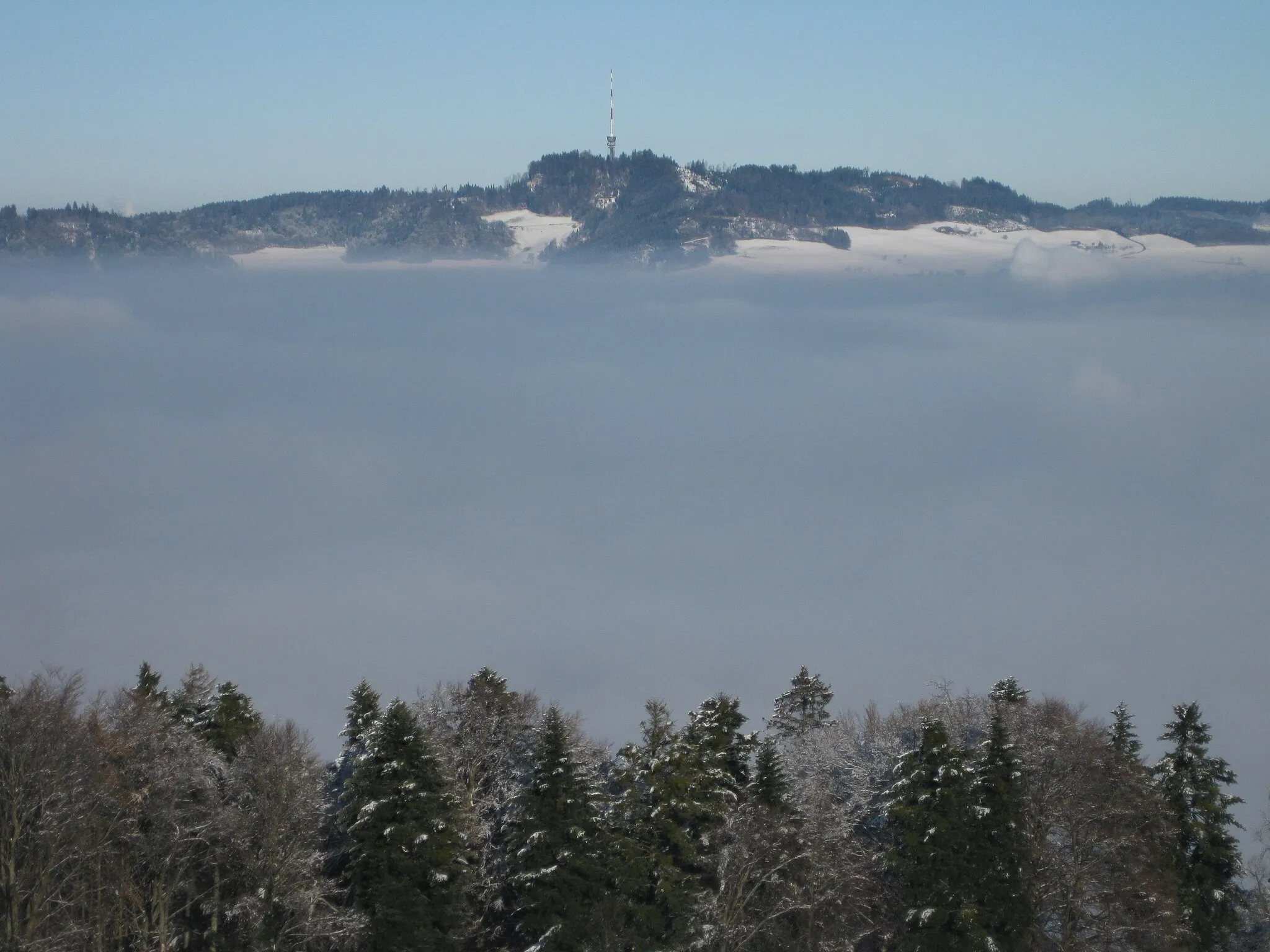 Photo showing: View on Bantiger, from Gurten mountain, near Berne, the Swiss capital