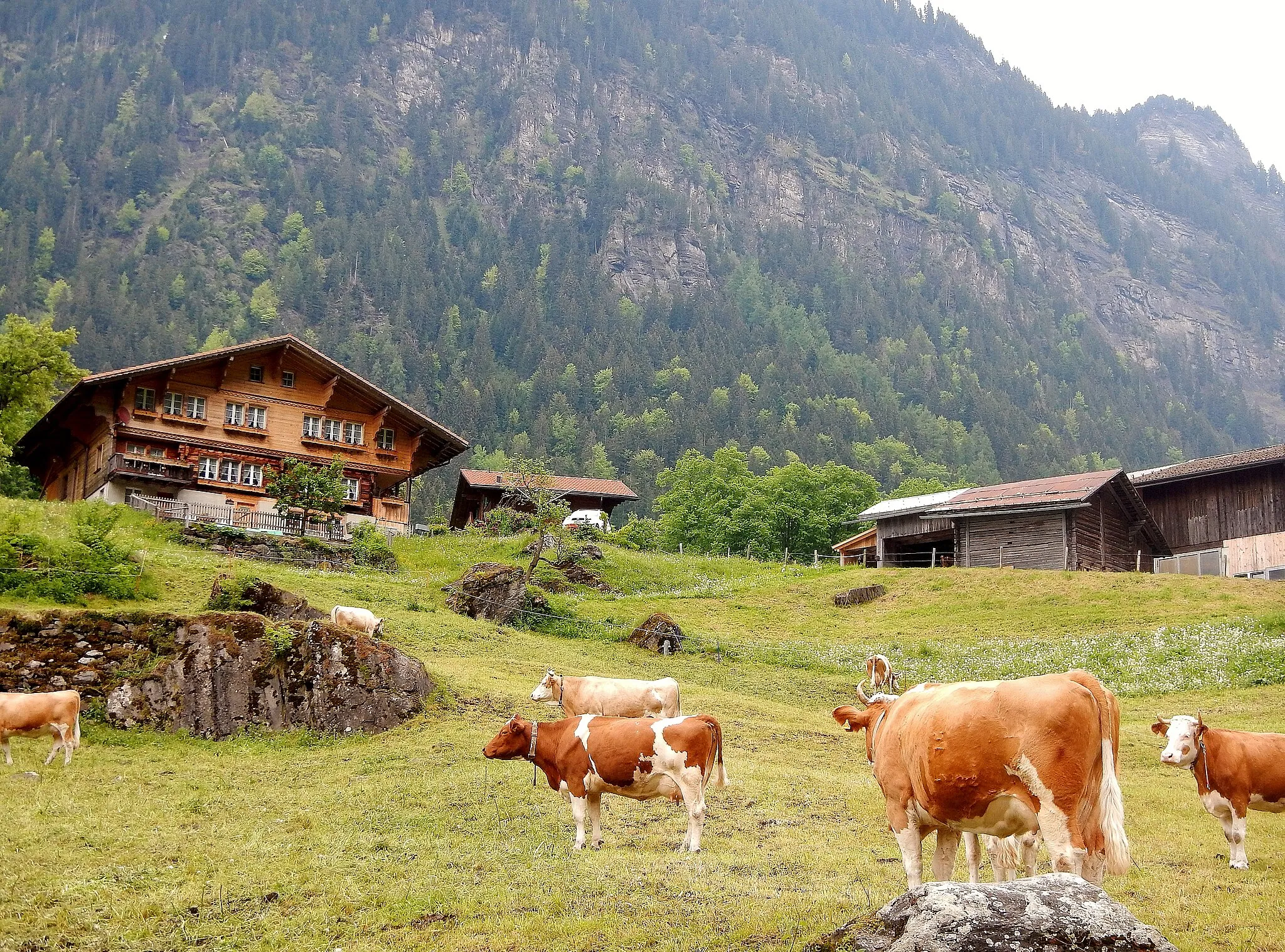 Photo showing: Auf dem Weg nach Grindelwald