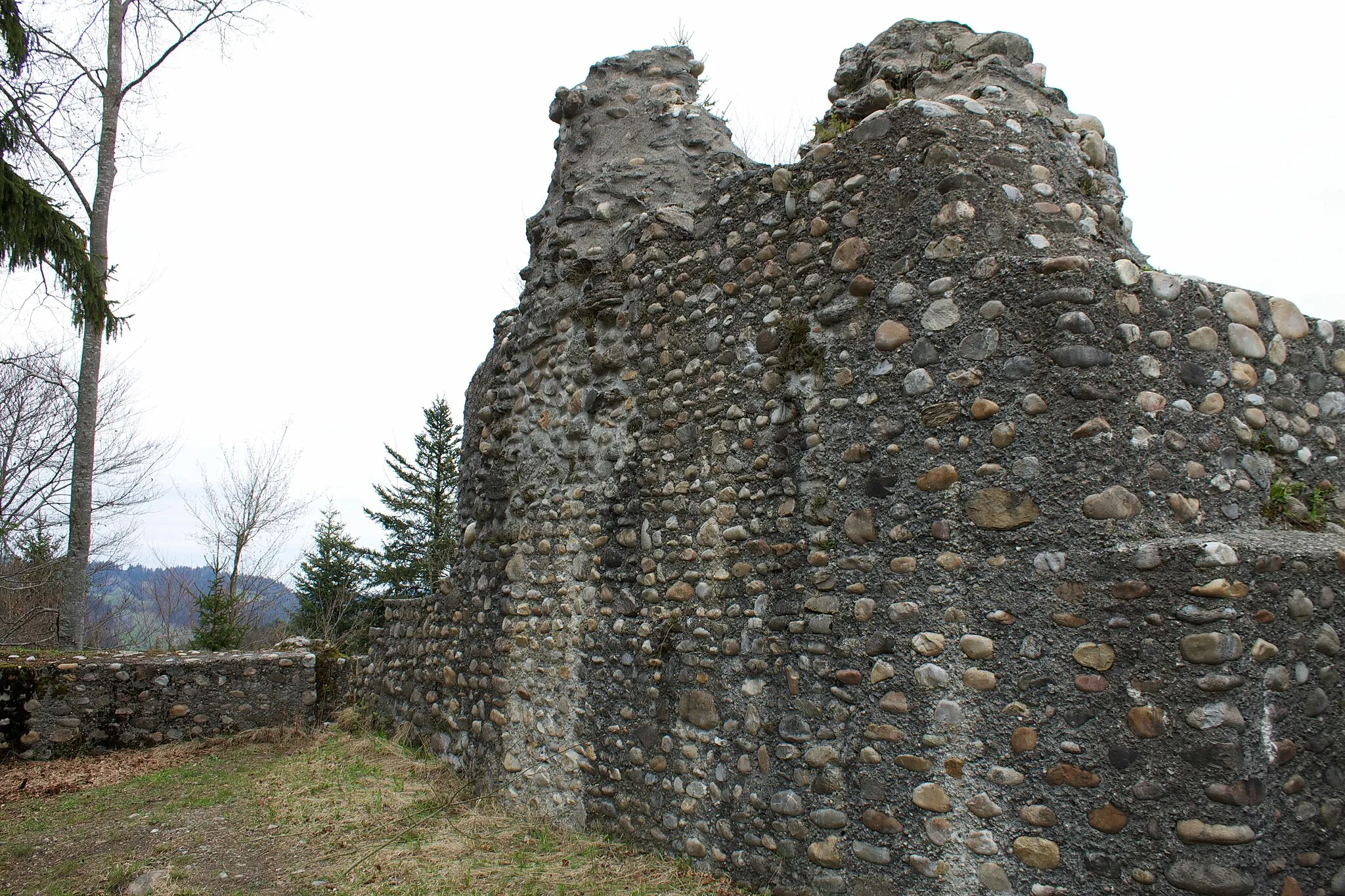 Photo showing: Ein Teil der Ruine Alt-Signau mit Umgebung