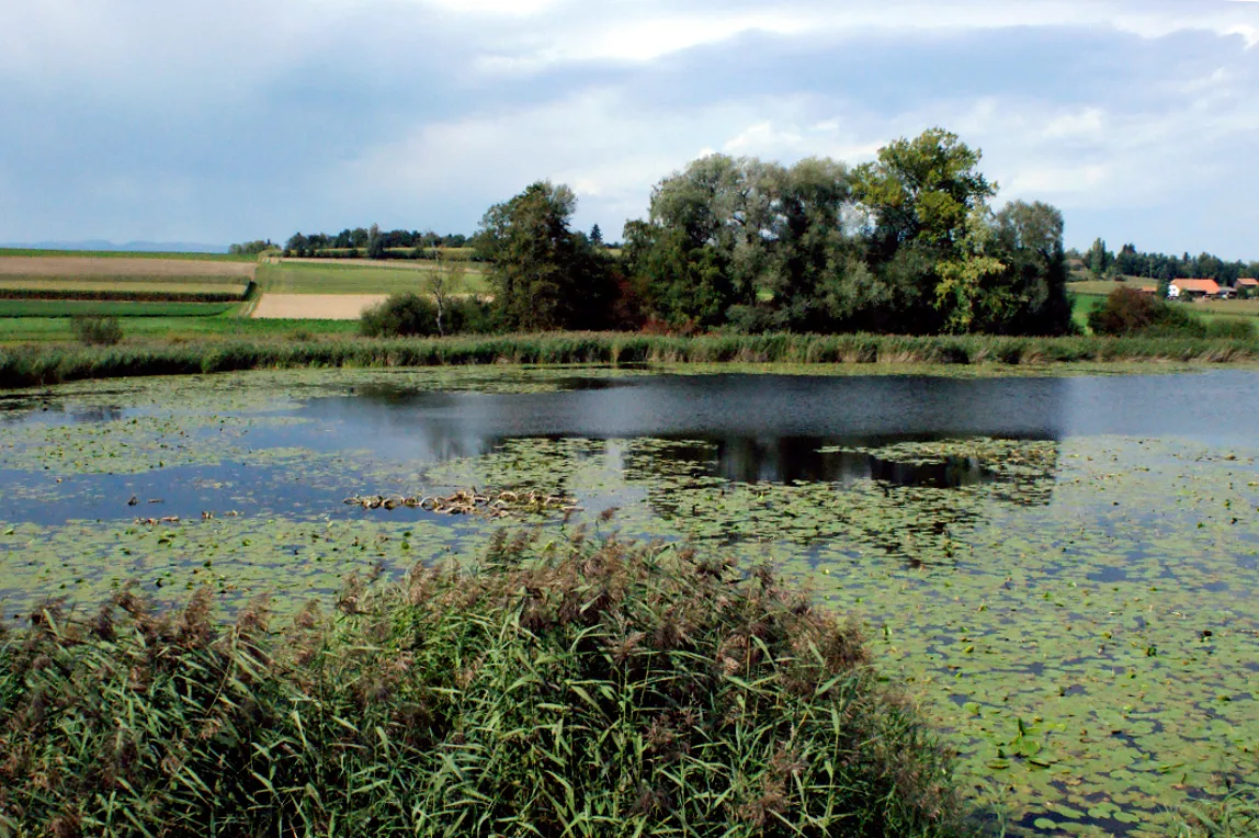 Photo showing: Sicht auf den See