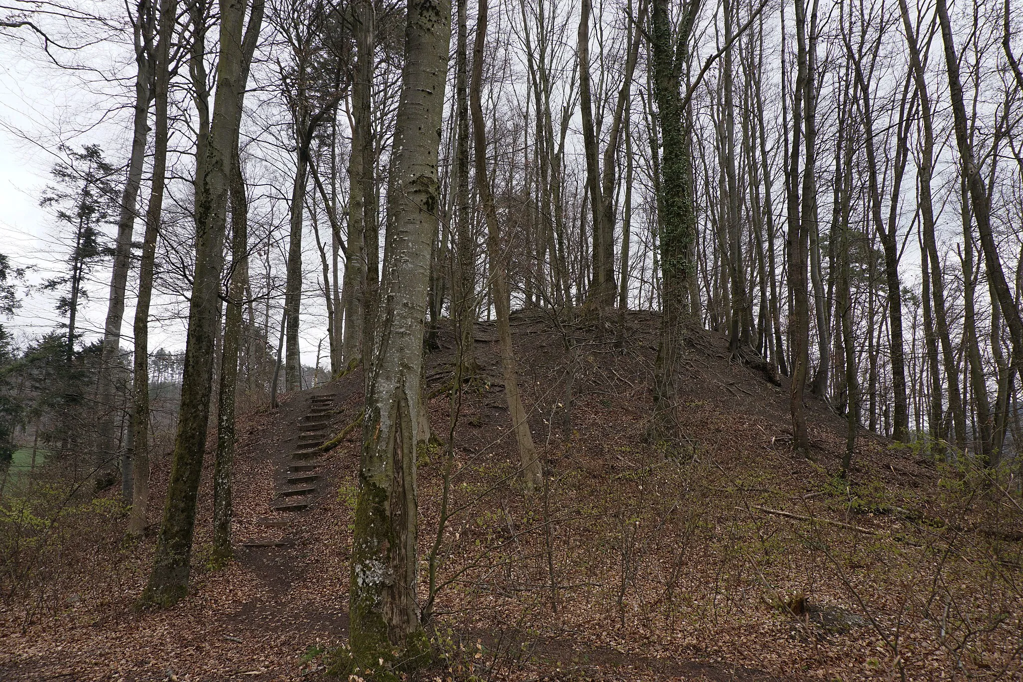 Photo showing: Westaufgang zur Ruine Schwandiburg Im Schwandiholz, Gem. Stettlen