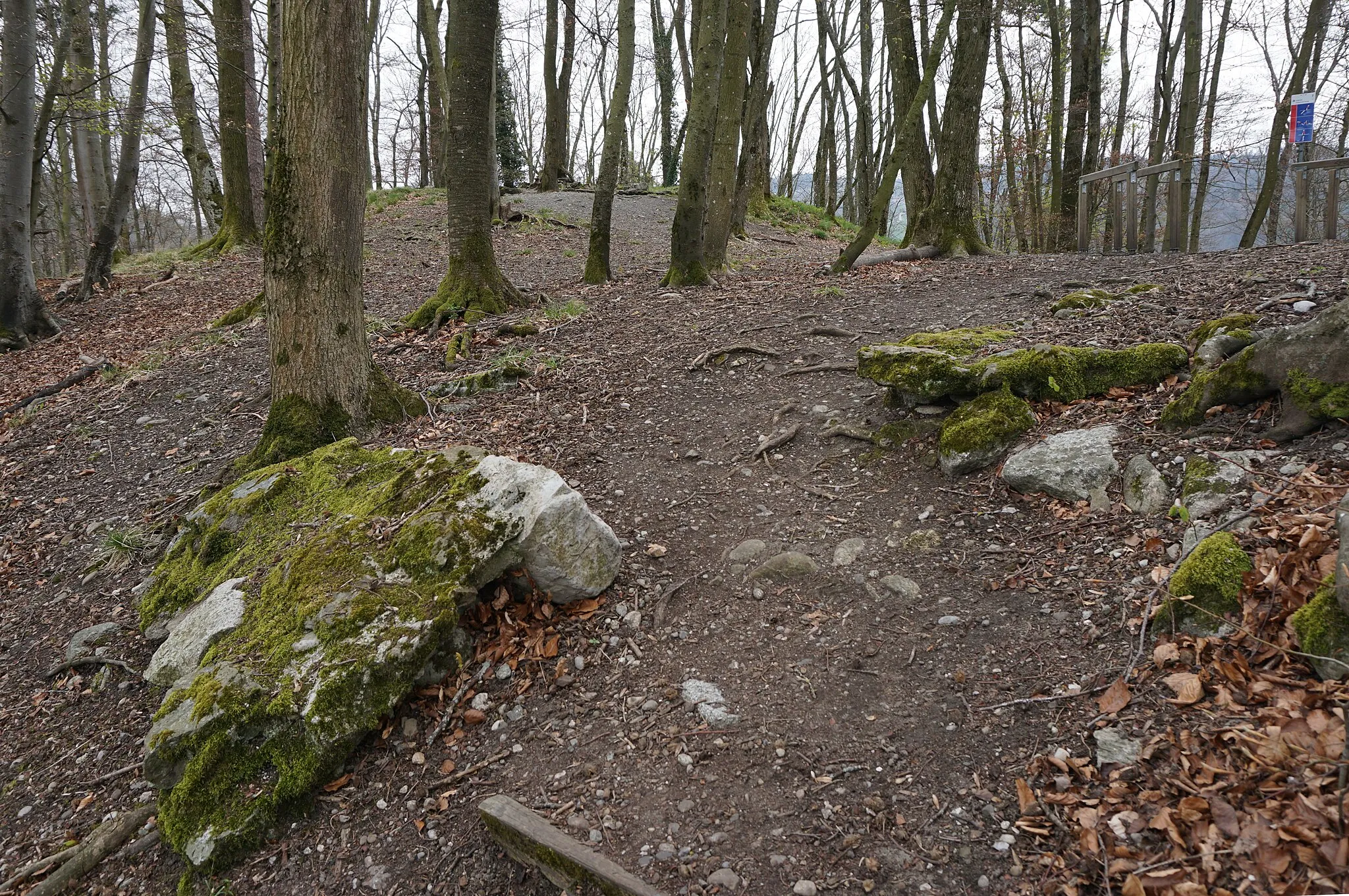 Photo showing: Westzugang zur Ruine Schwandiburg Im Schwandiholz, Gem. Stettlen. Ecke mit vermörtelten Mauerresten.