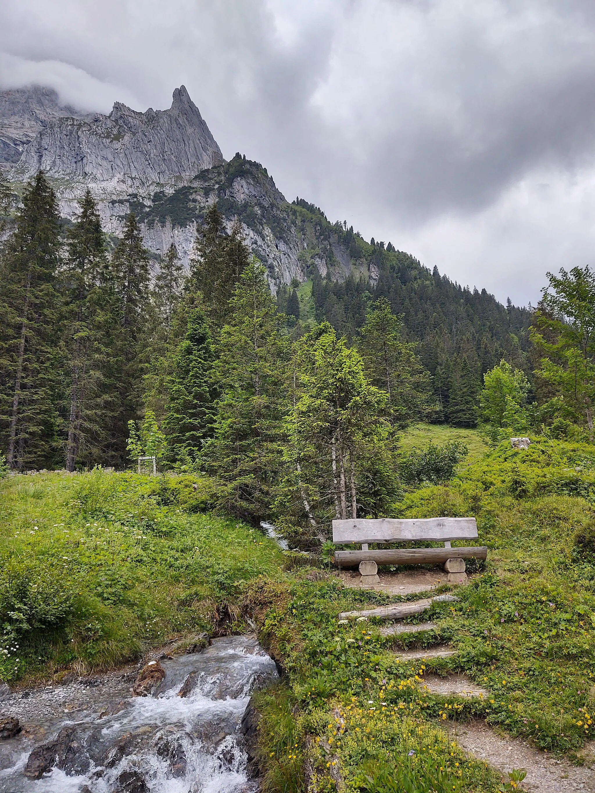 Photo showing: View from the entry of the glacier canyon Rosenlaui