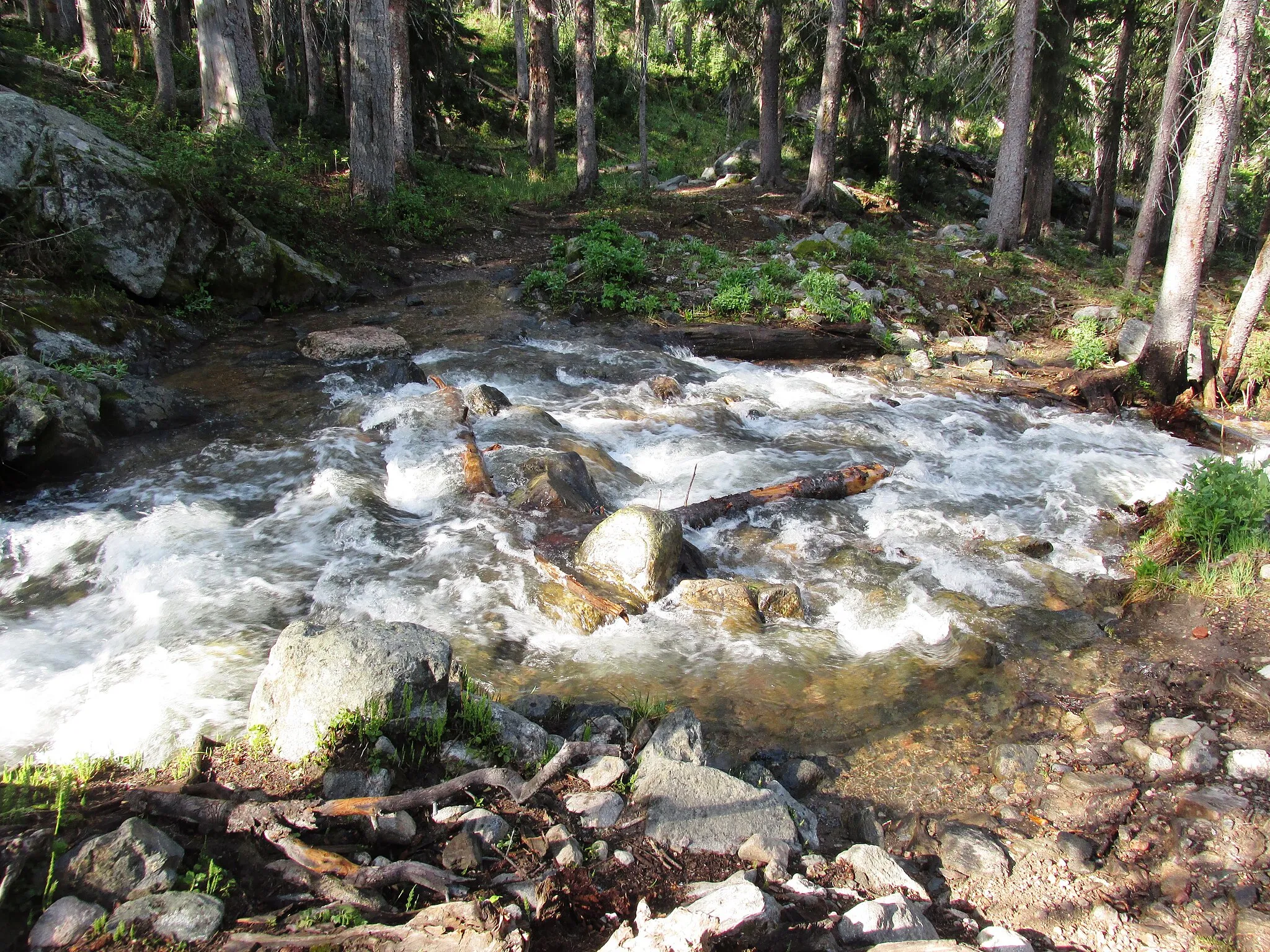 Photo showing: I did about six stream crossings similar to this through this hike. The water was flowing pretty strong in all the creeks due to lot s of snowmelt.
2865 meters (9400 feet)
Gold Creek Trail #1150
Routt National Forest, Colorado

sw16 300