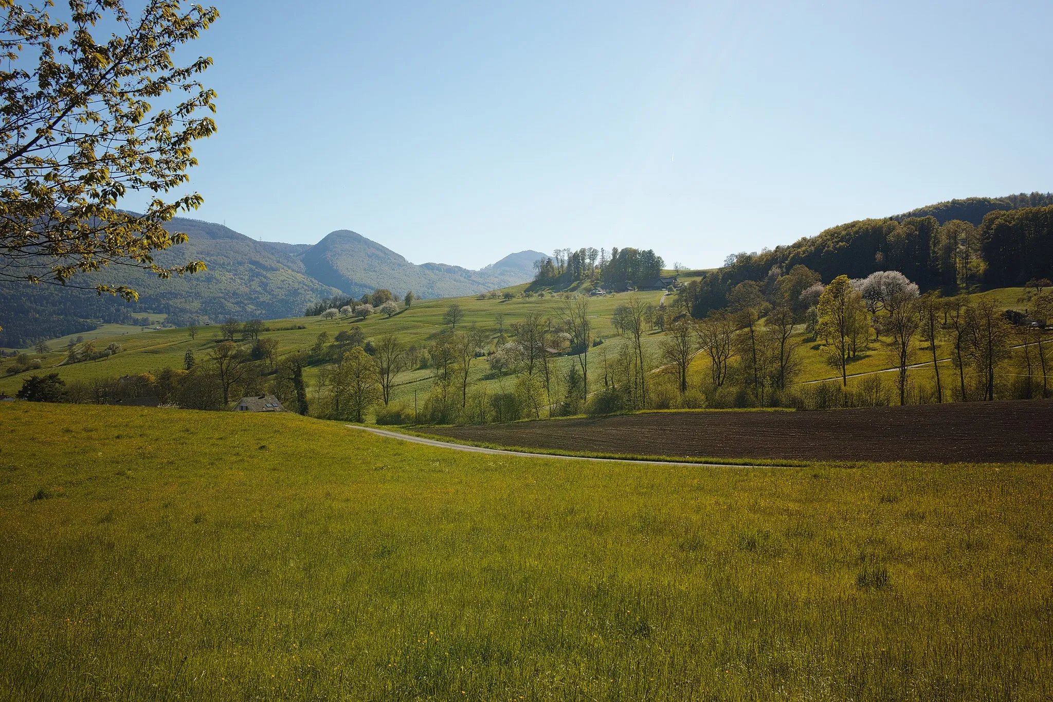 Photo showing: Naturpark Thal: View from a hill north of the centre of Laupersdorf in south-western direction.