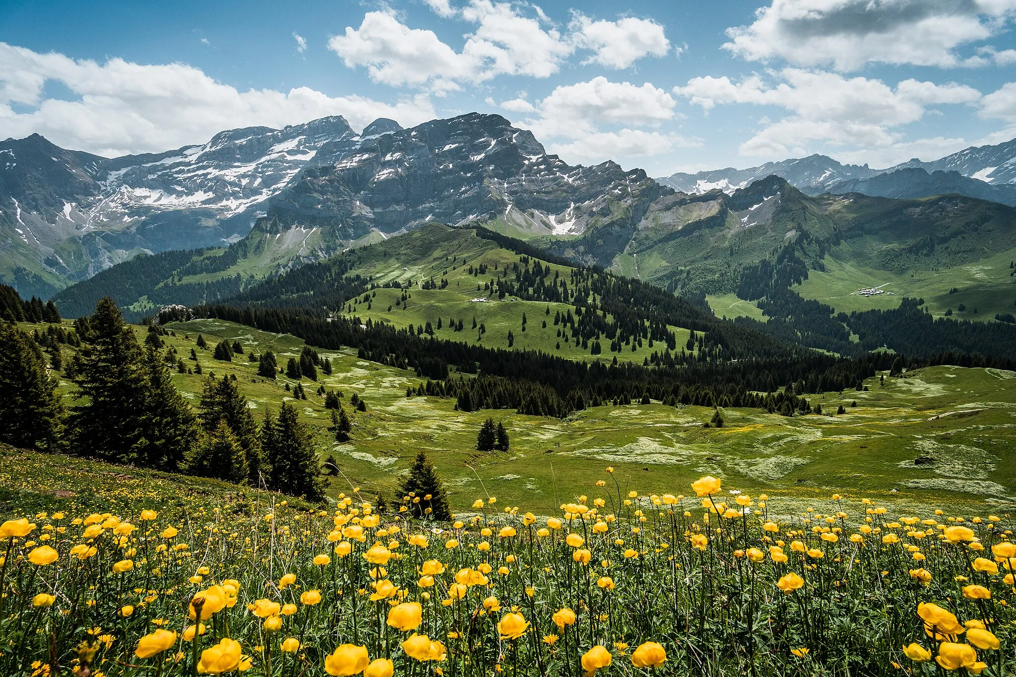 Photo showing: Les Diablerets view with yellow flowers in spring on a sunny day.
