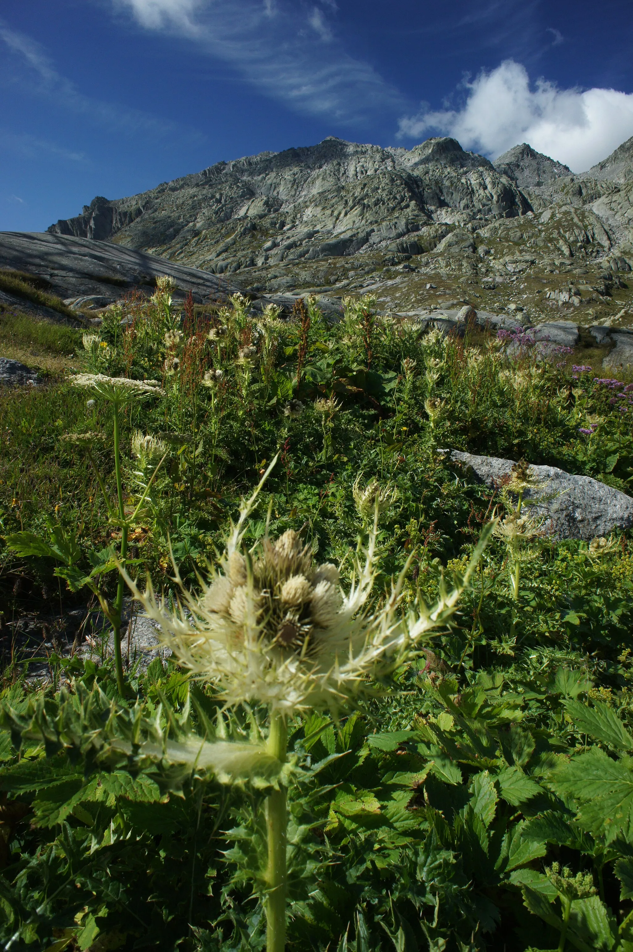 Photo showing: Gotthard pass, Switzerland
