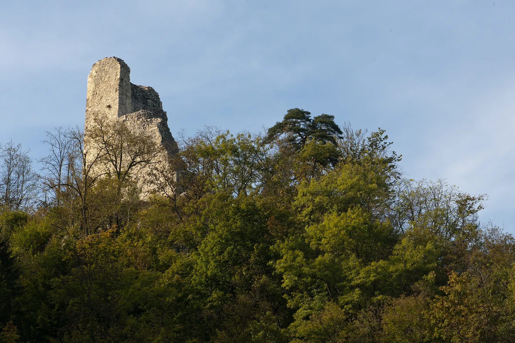 Photo showing: Ruines du château du Vorbourg (11e-14e s.) à Delémont (JU)