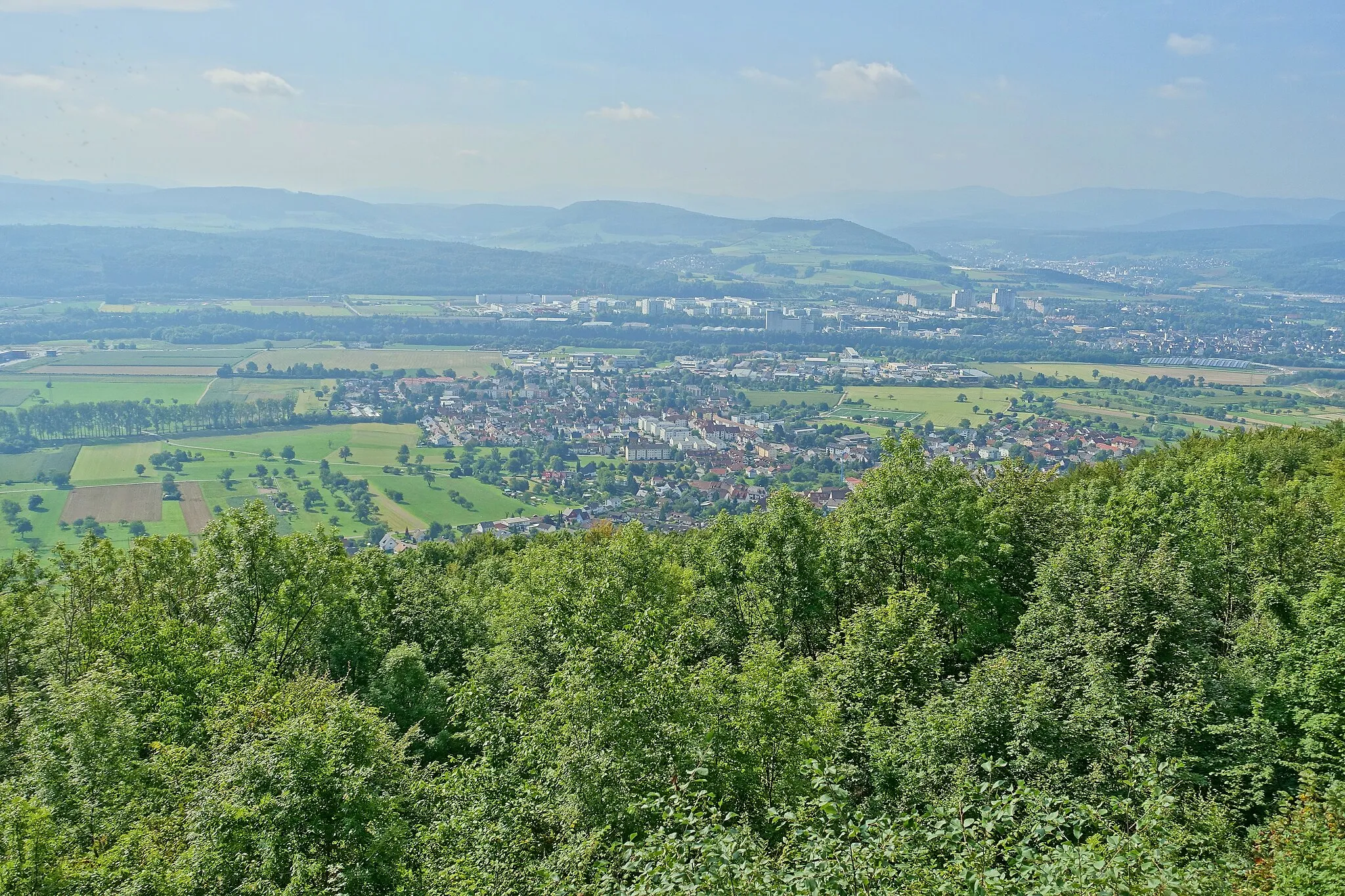 Photo showing: Blick vom Eigenturm (Aussichtsturm im Hertener Wald)