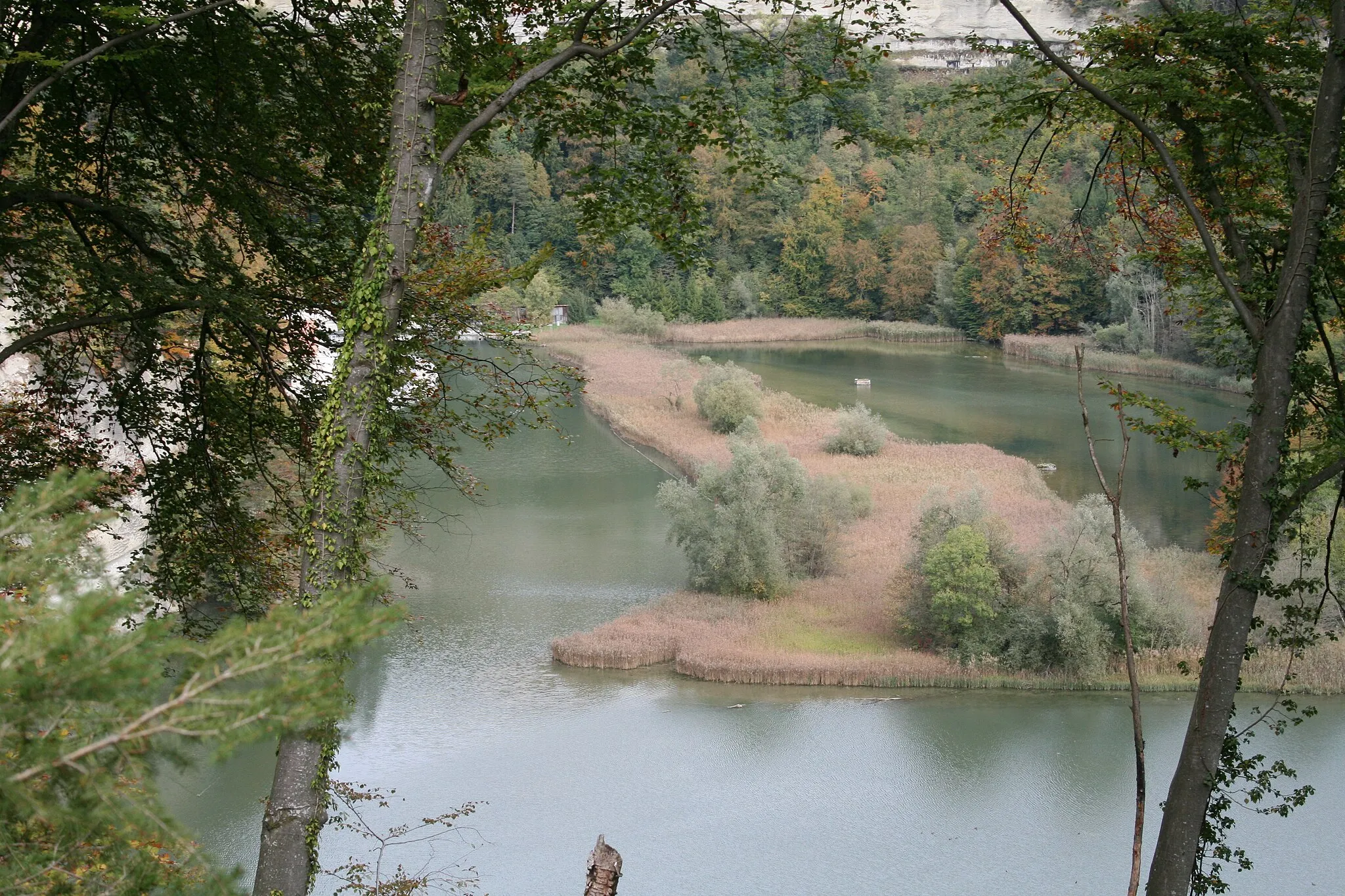Photo showing: View of Lake Perolles with the large siltation area. The dammed Sarine is a floodplain of national importance.