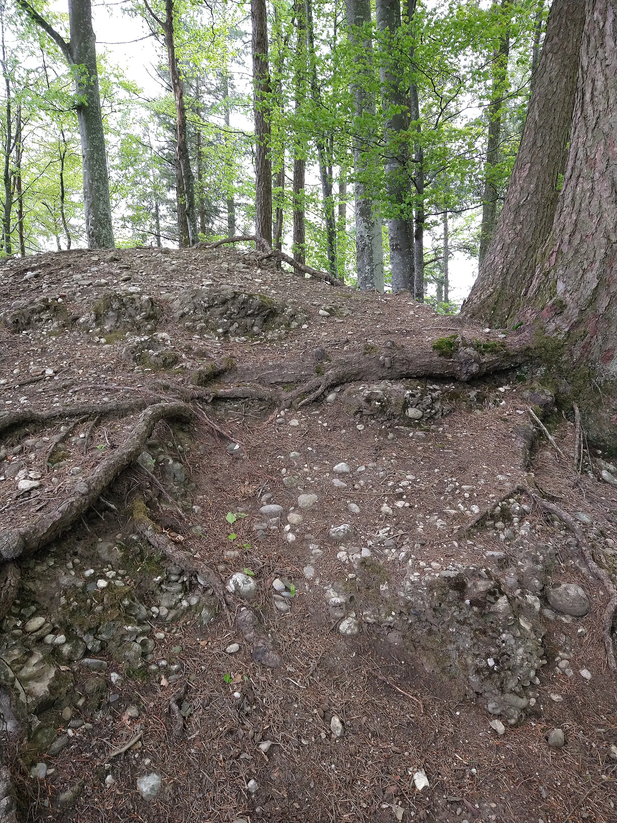 Photo showing: Friesenberg Ruine