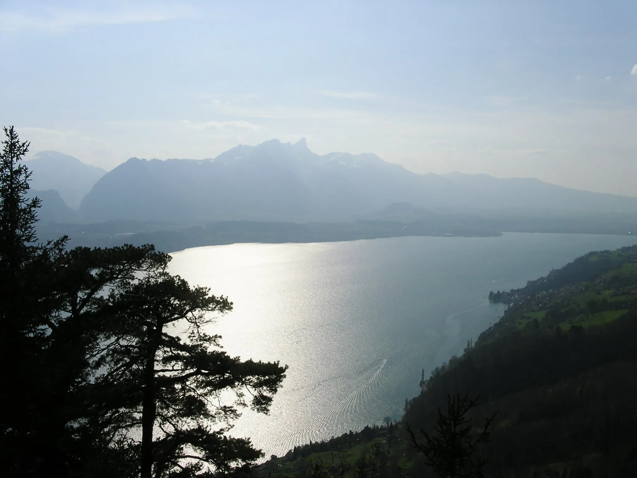 Photo showing: Sicht auf Thunersee Richtung Thun