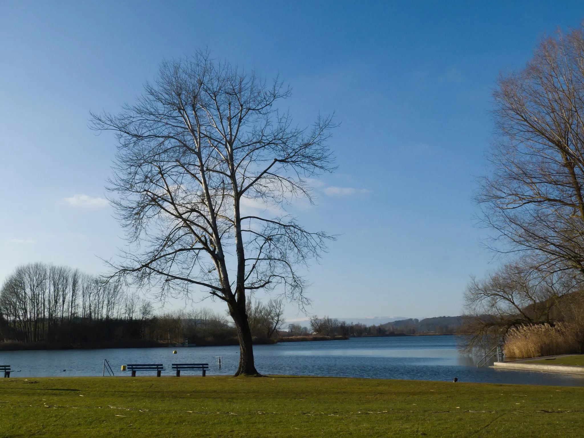 Photo showing: Der Moossee beim Bad