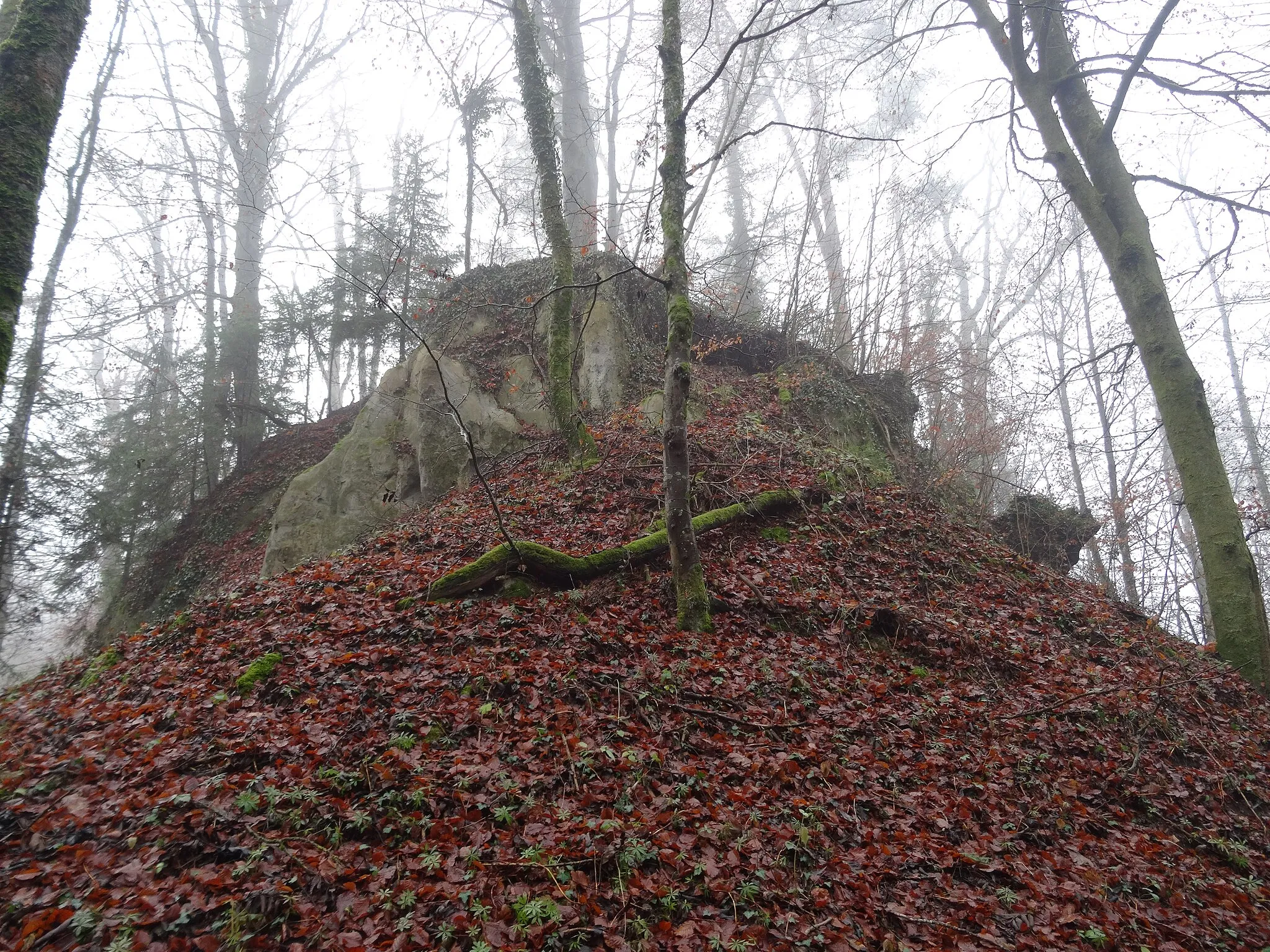 Photo showing: Motte von NE der Burgstelle Alt-Bubenberg