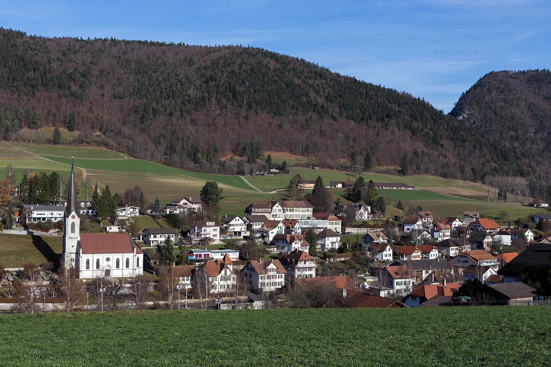 Photo showing: Blick auf den nordöstlichen Dorfteil von Court (BE)