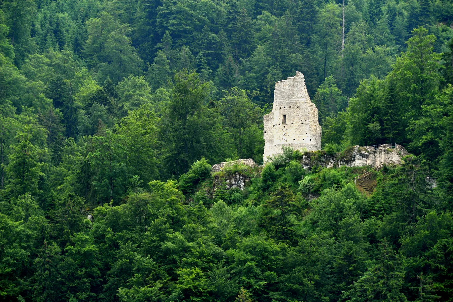 Photo showing: Vue to the ruins of the Château d'Erguël from Sonvilier; Berne, Switzerland.