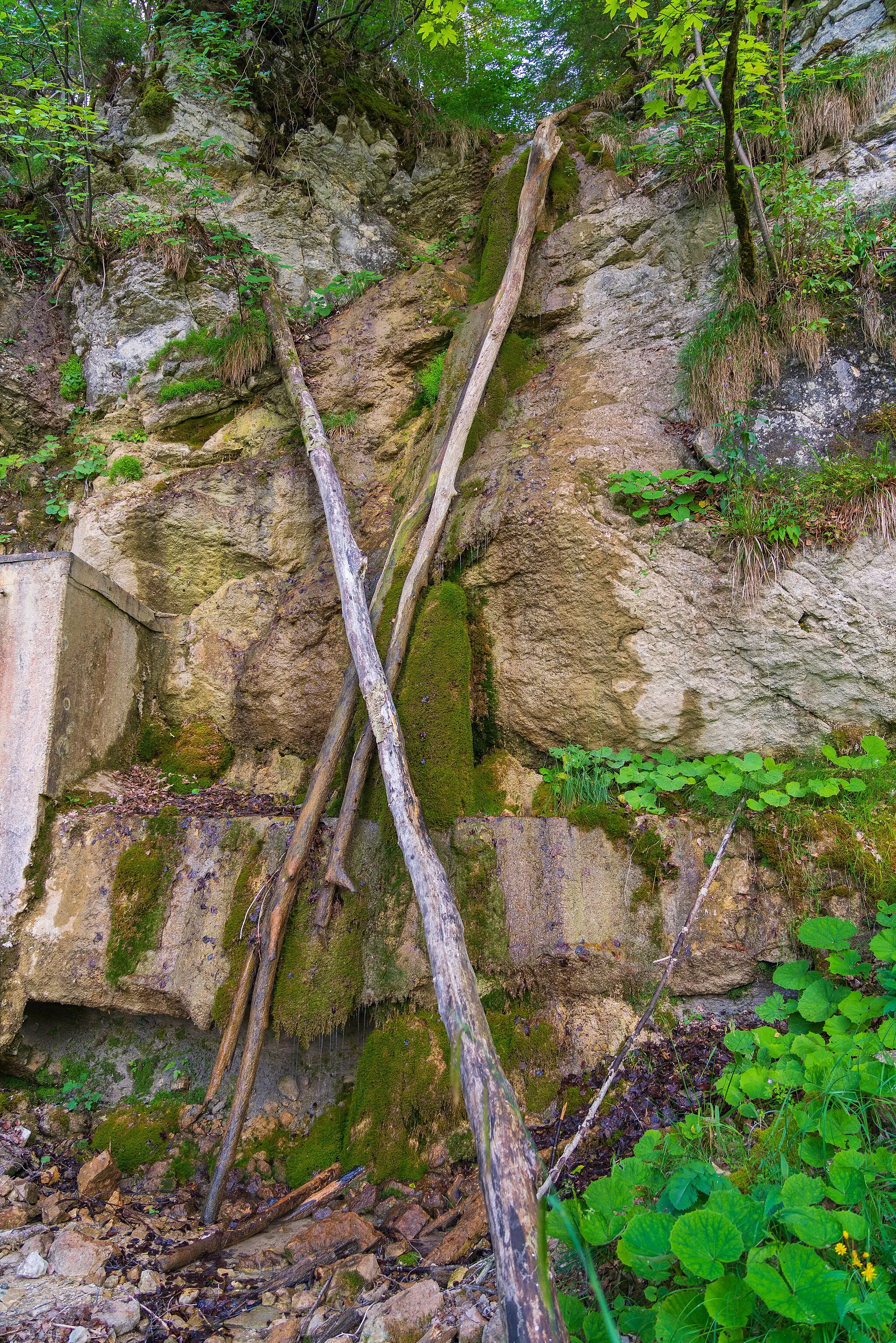Photo showing: Weigistbach-Wasserfall