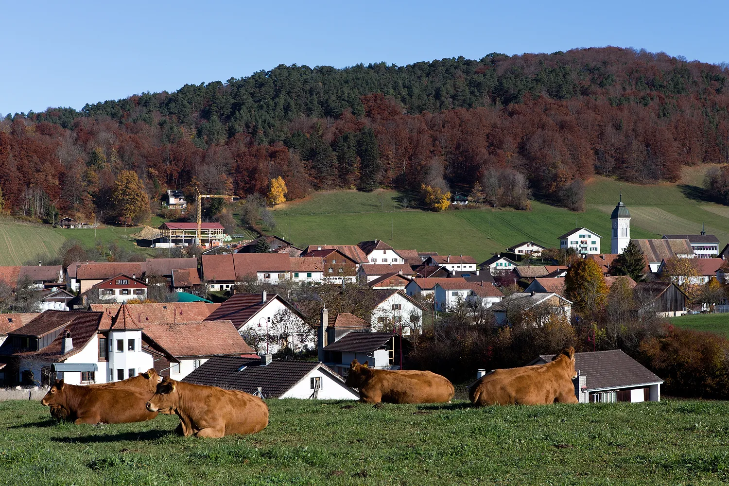 Photo showing: Blick hin zum Dorfzentrum von Movelier (JU)