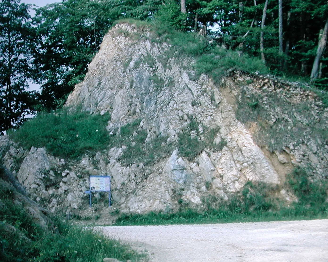 Photo showing: Aufschluss Fringeli mit Tafel der Geologischen Wanderung Bärschwil