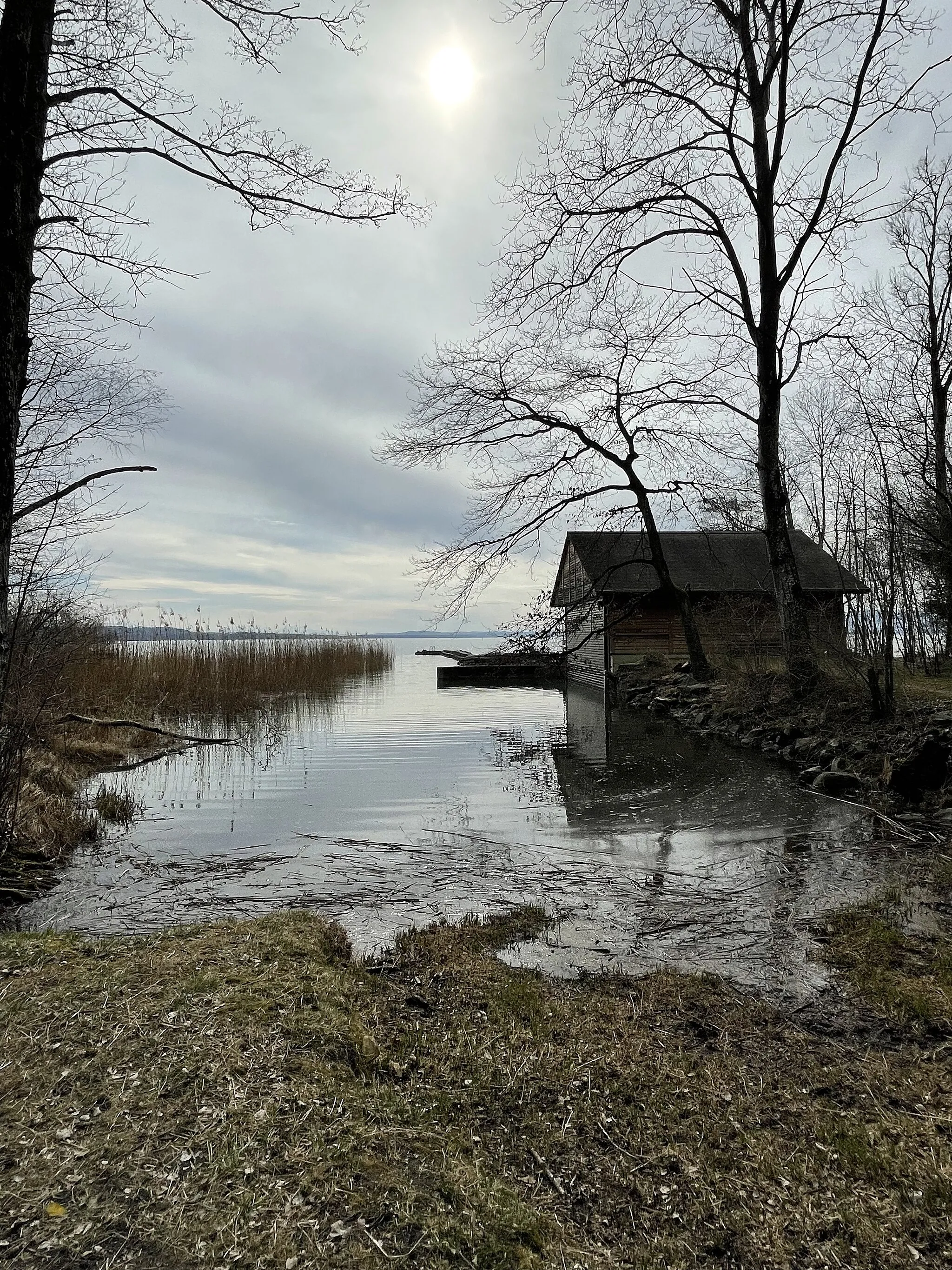 Photo showing: A boathouse in the forest called "La Ramée", Marin-Epagnier.