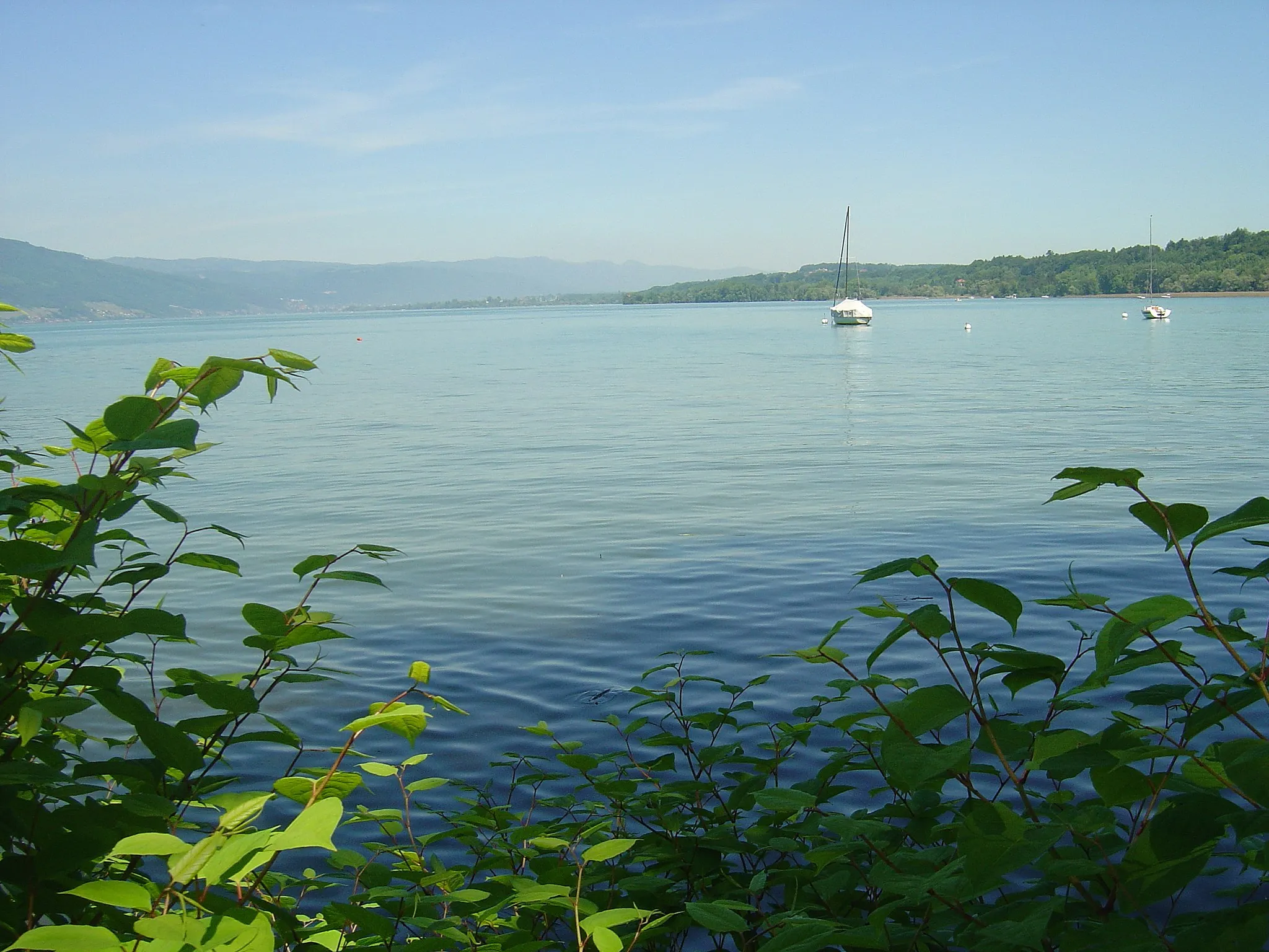 Photo showing: view from Lüscherz to the north east part of Lake Biel