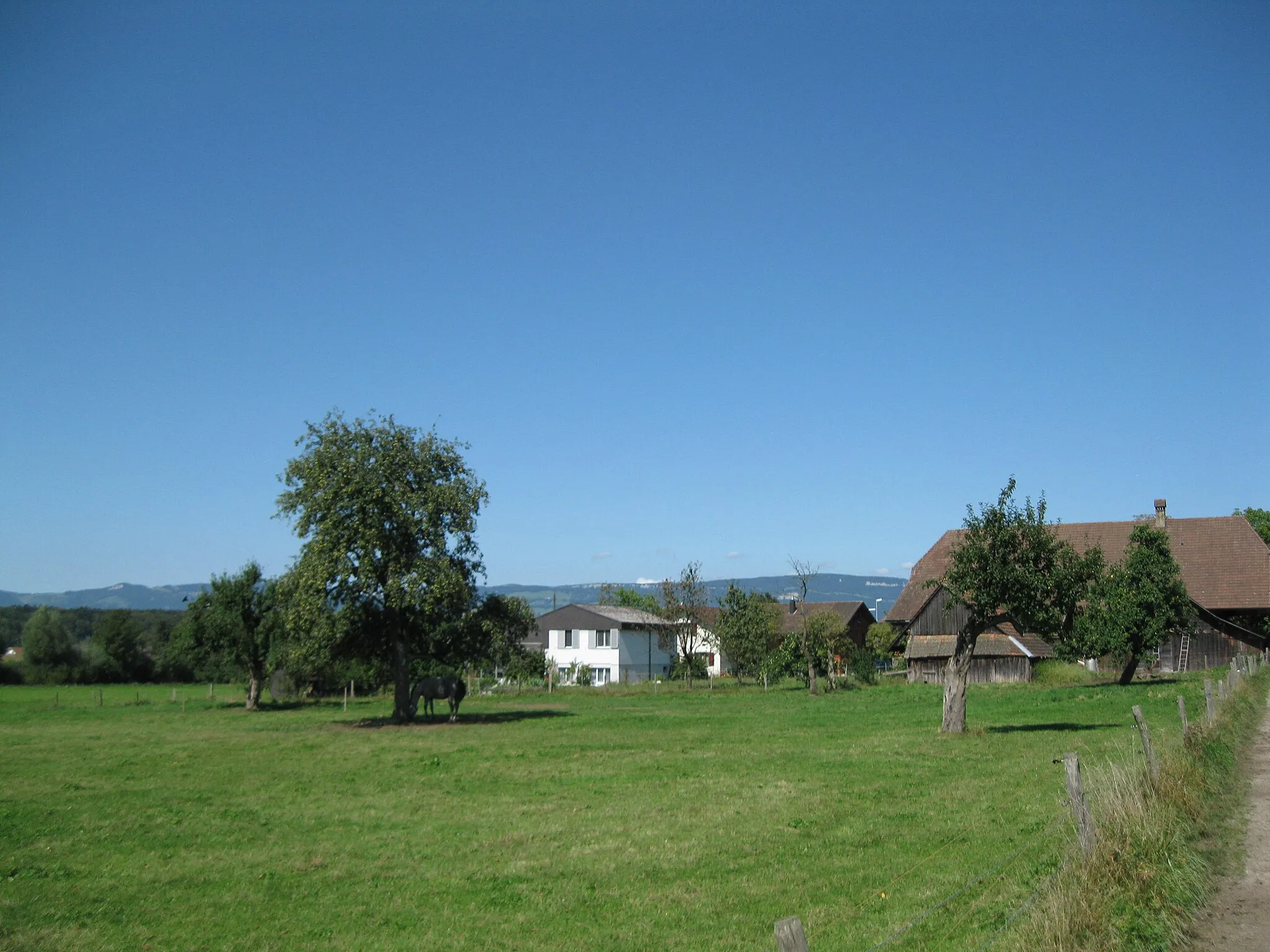 Photo showing: Richtung Niederönz Jura